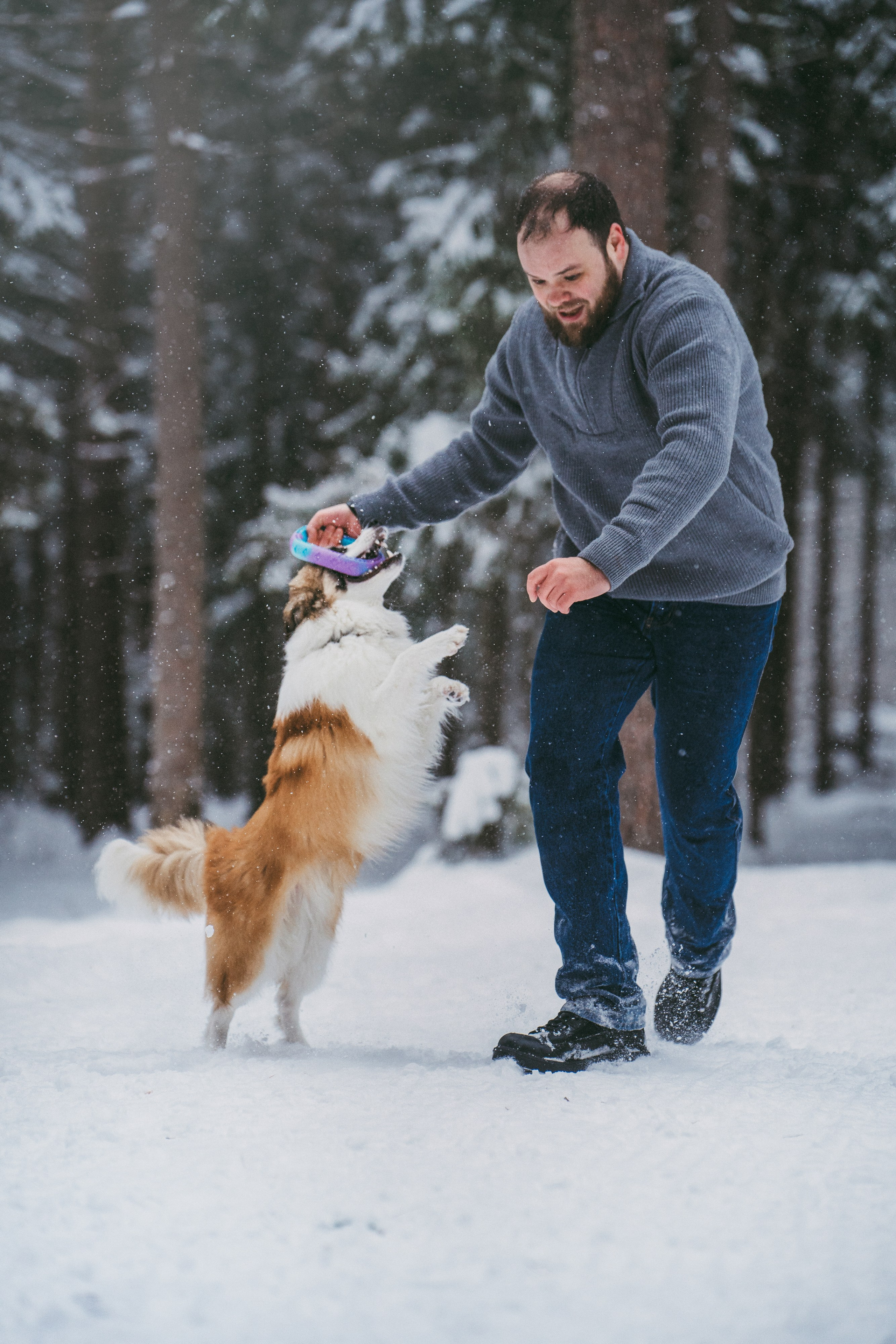 Катя, Анатолий и Елай. Фотограф анималист в Москве и Санкт-Петербурге Свиридова Анна