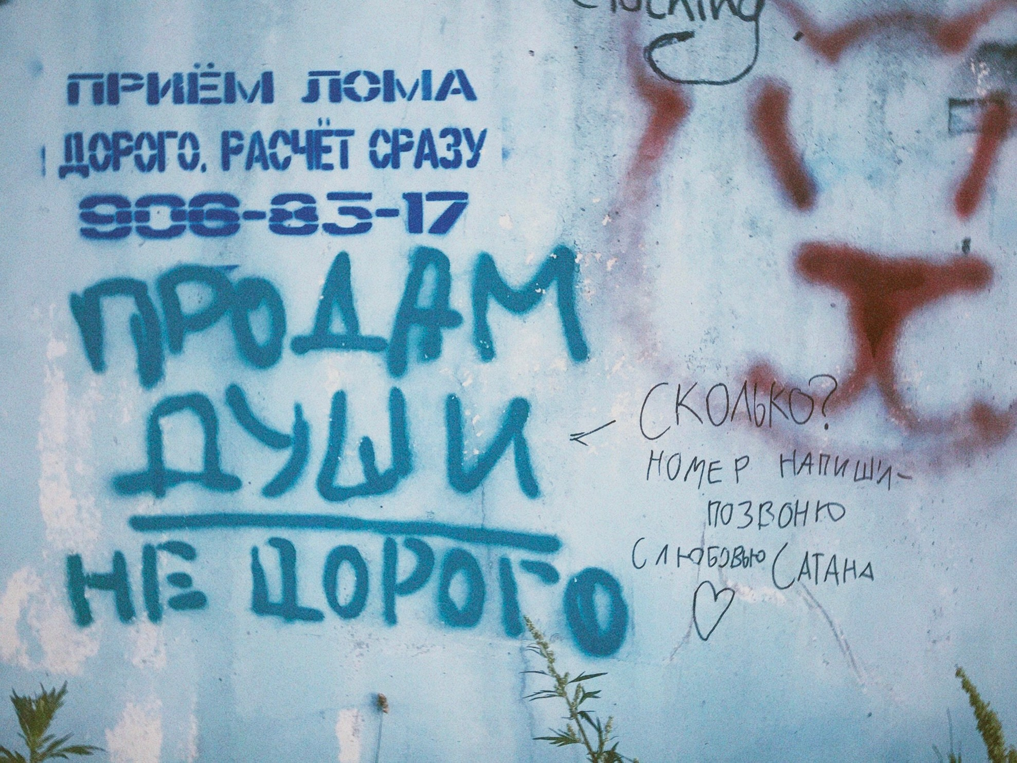 Street Caps. Alina Panover