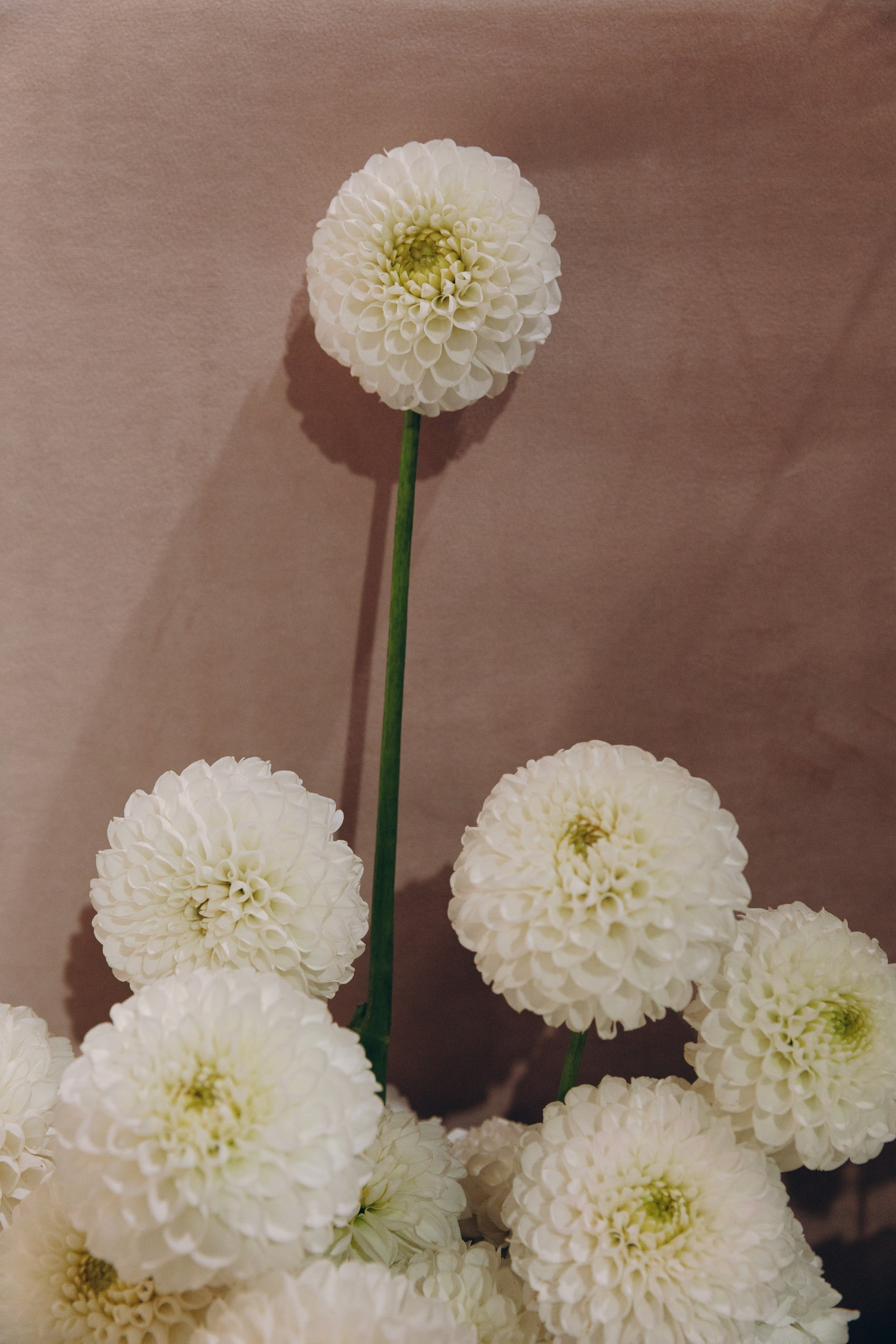 Backstage for Global Wedding. Свадебный фотограф в Санкт-Петербурге и Москве Андрей Чернов