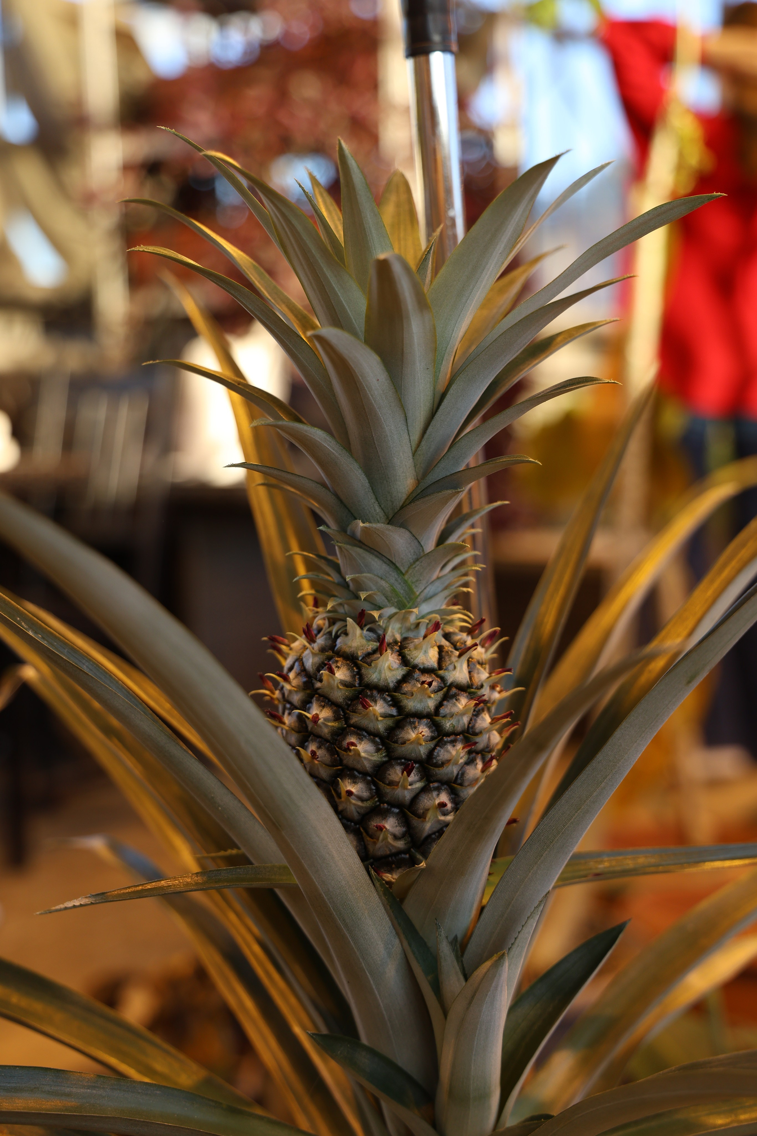 Весеннее солнце. Портретный фотограф в Москве Блинова Мария