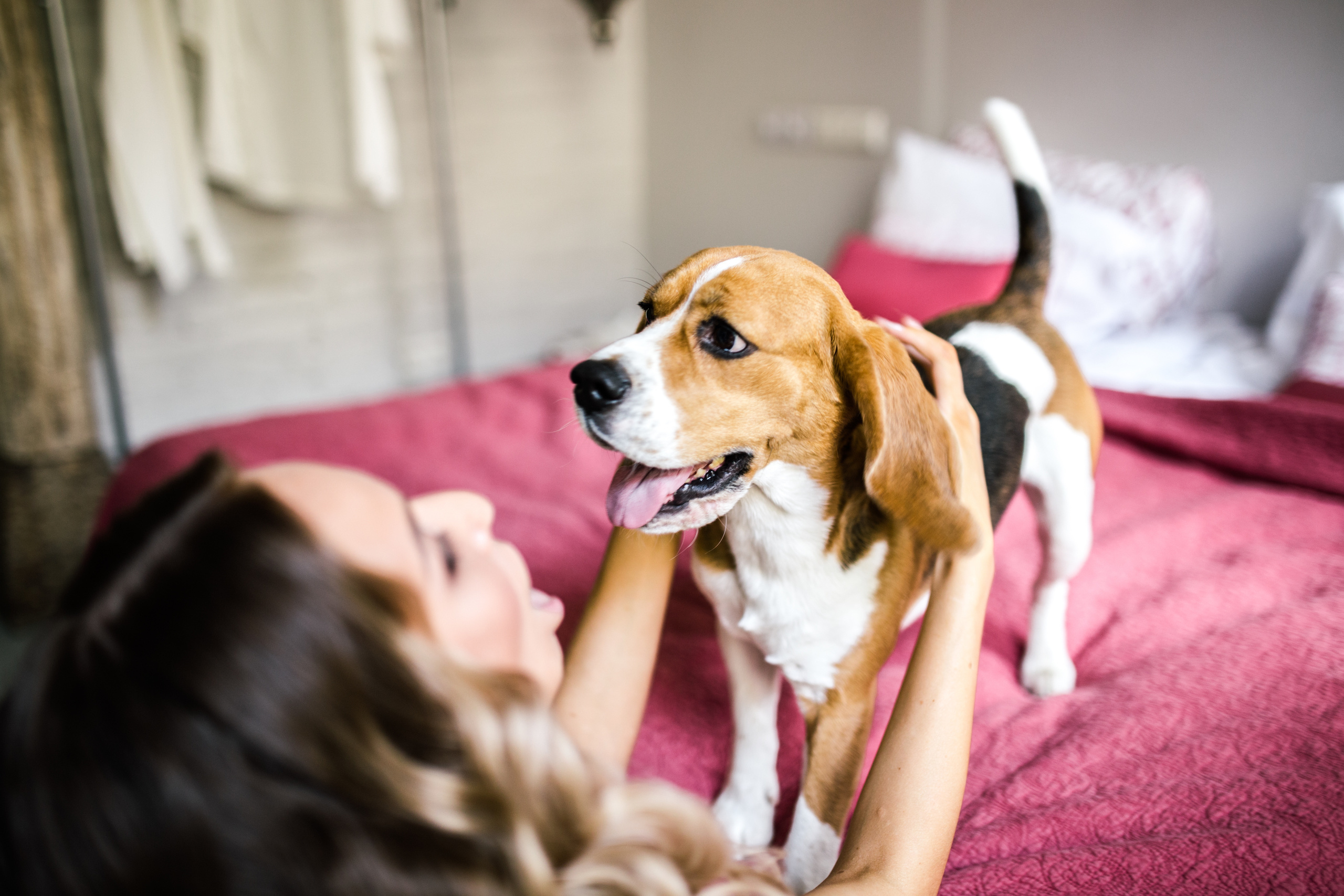 Свадьба Нели и Виктора 18.08.17. Свадебный и семейный фотограф в Санкт-Петербурге Исупова Юлия