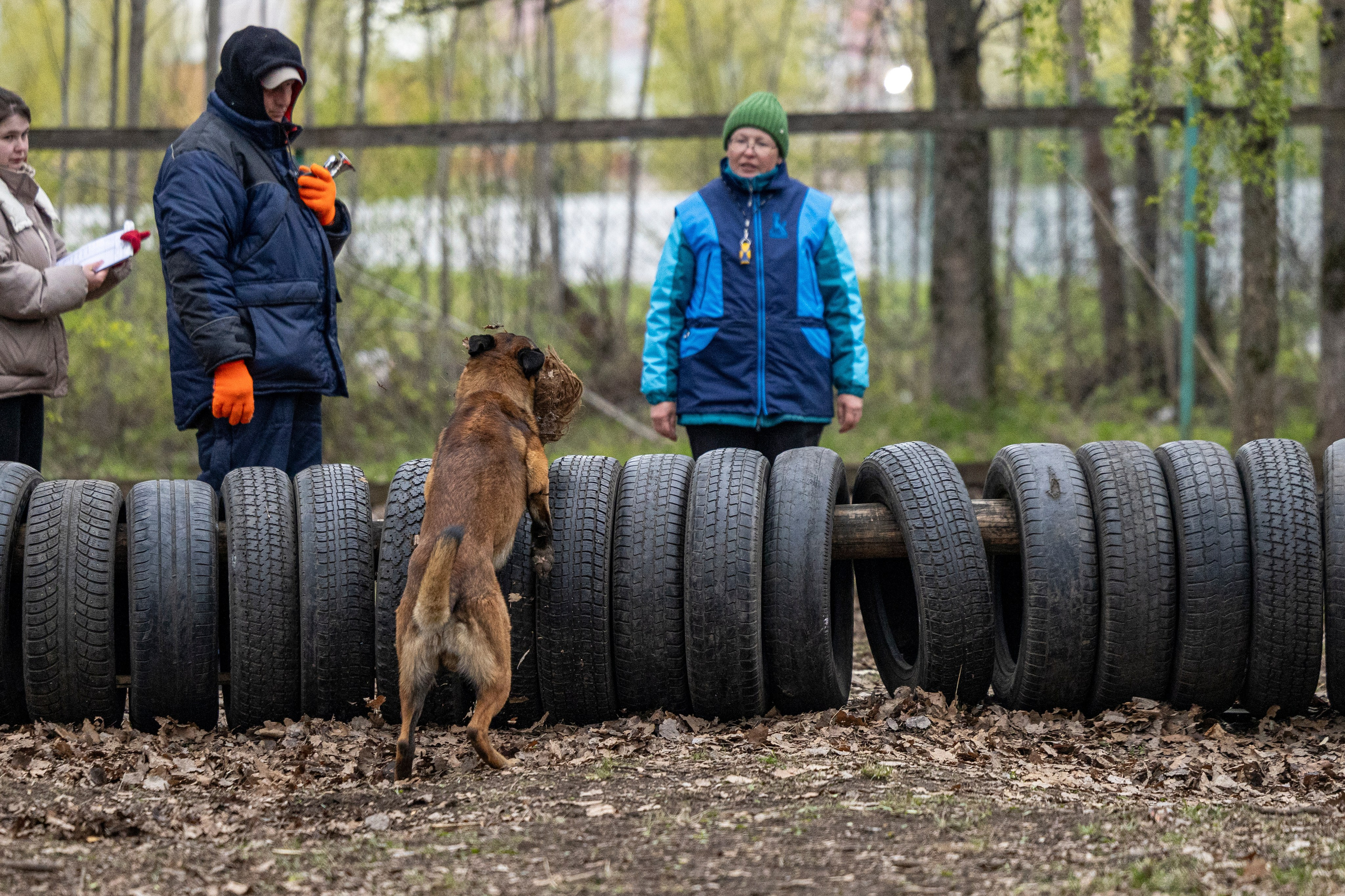 Квалификационные состязания по мондьорингу г. Вологда 11.05.24. Фотограф-анималист Анна Маринич