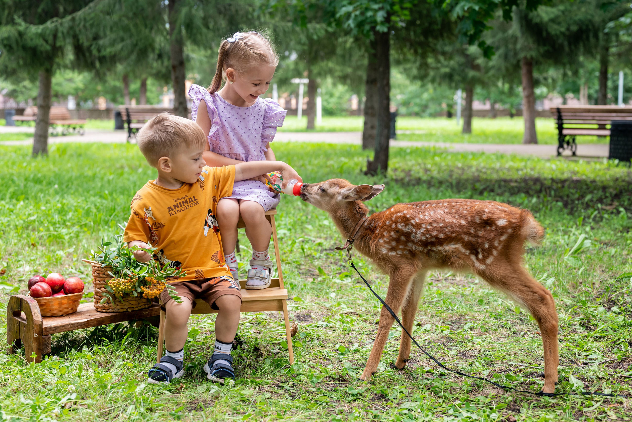 Фотопроект *Оленёнок Бэмби*. Фотограф в городе Салават