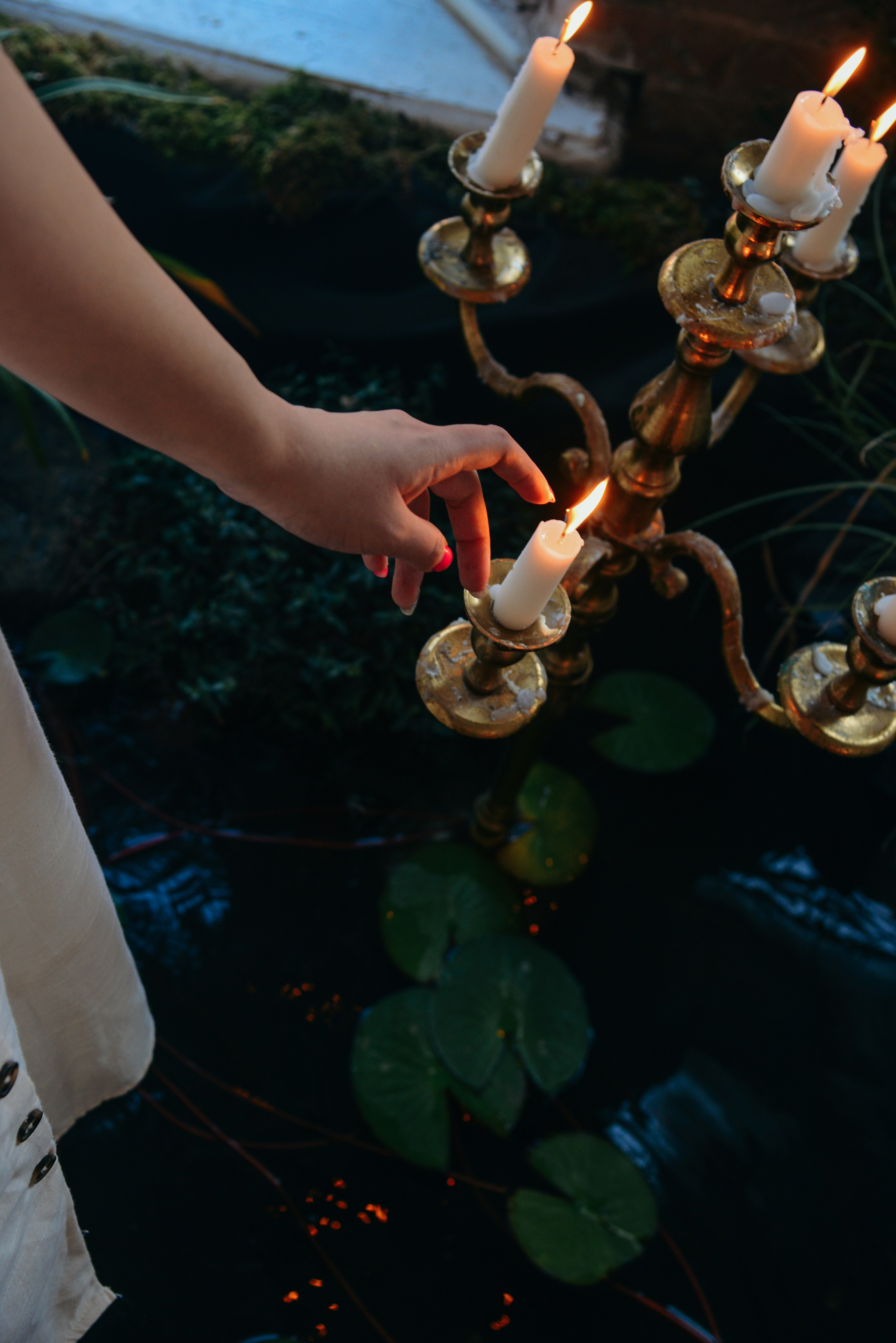 Симфония музыки. Фотограф Ярута Оксана / Ростов-на-Дону