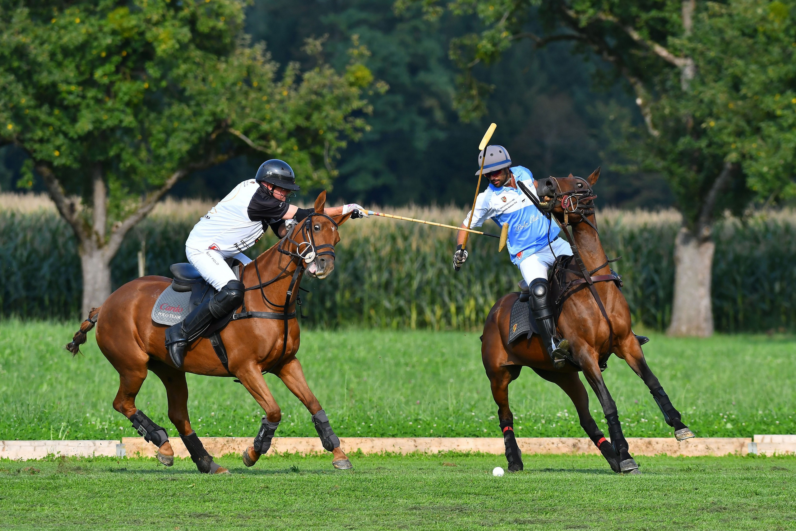 Polo art photos. Art photos of horses — ARTUR BABOEV | Photographer