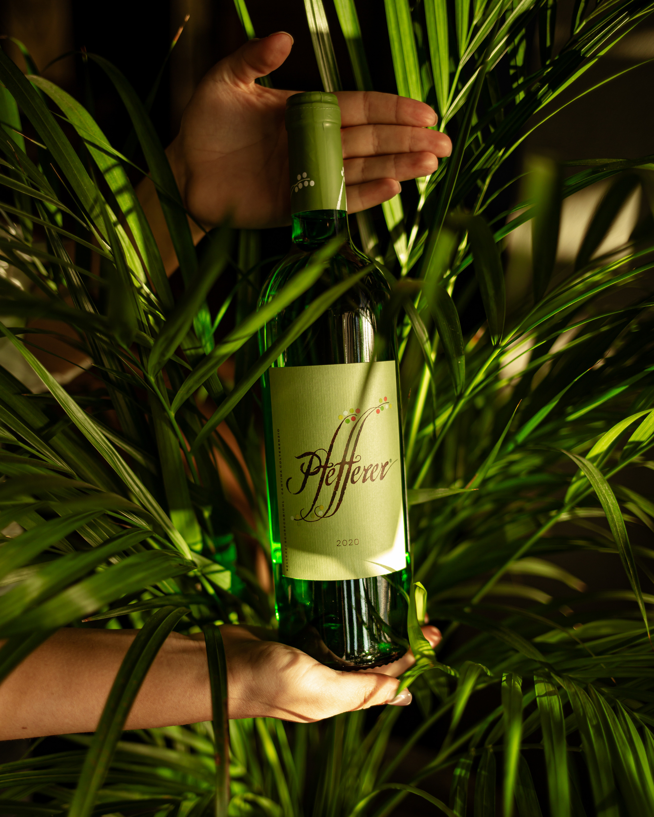 фуд фото с руками