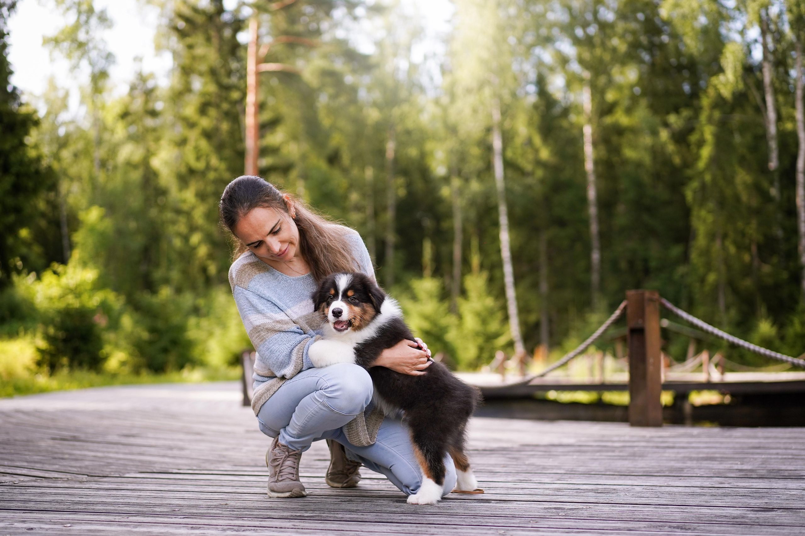 Щены аусси. Фотограф-анималист в Санкт-Петербурге Яна Мартынова