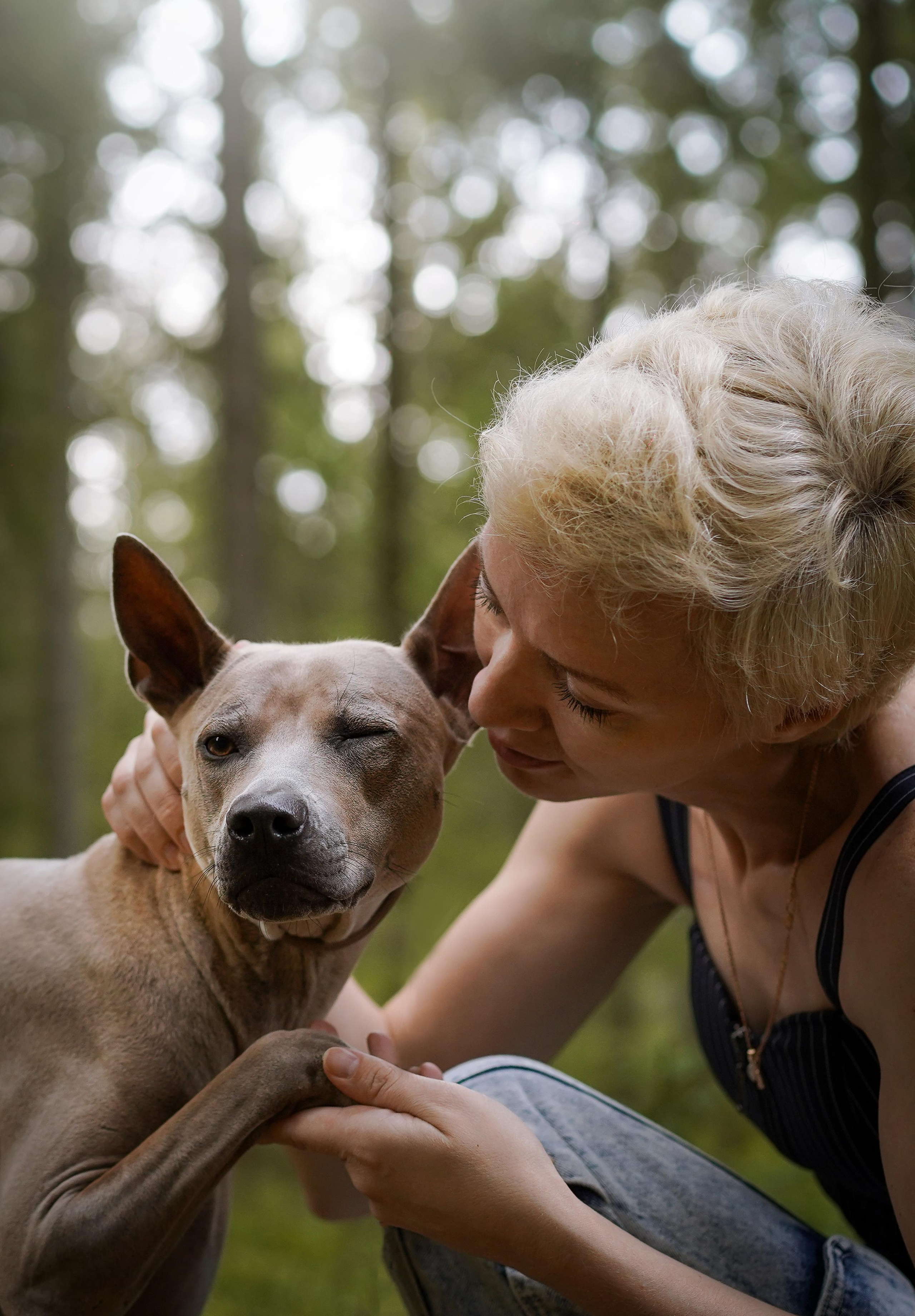Юля Дима Грей и Тоффи. Фотограф-анималист в Санкт-Петербурге Яна Мартынова