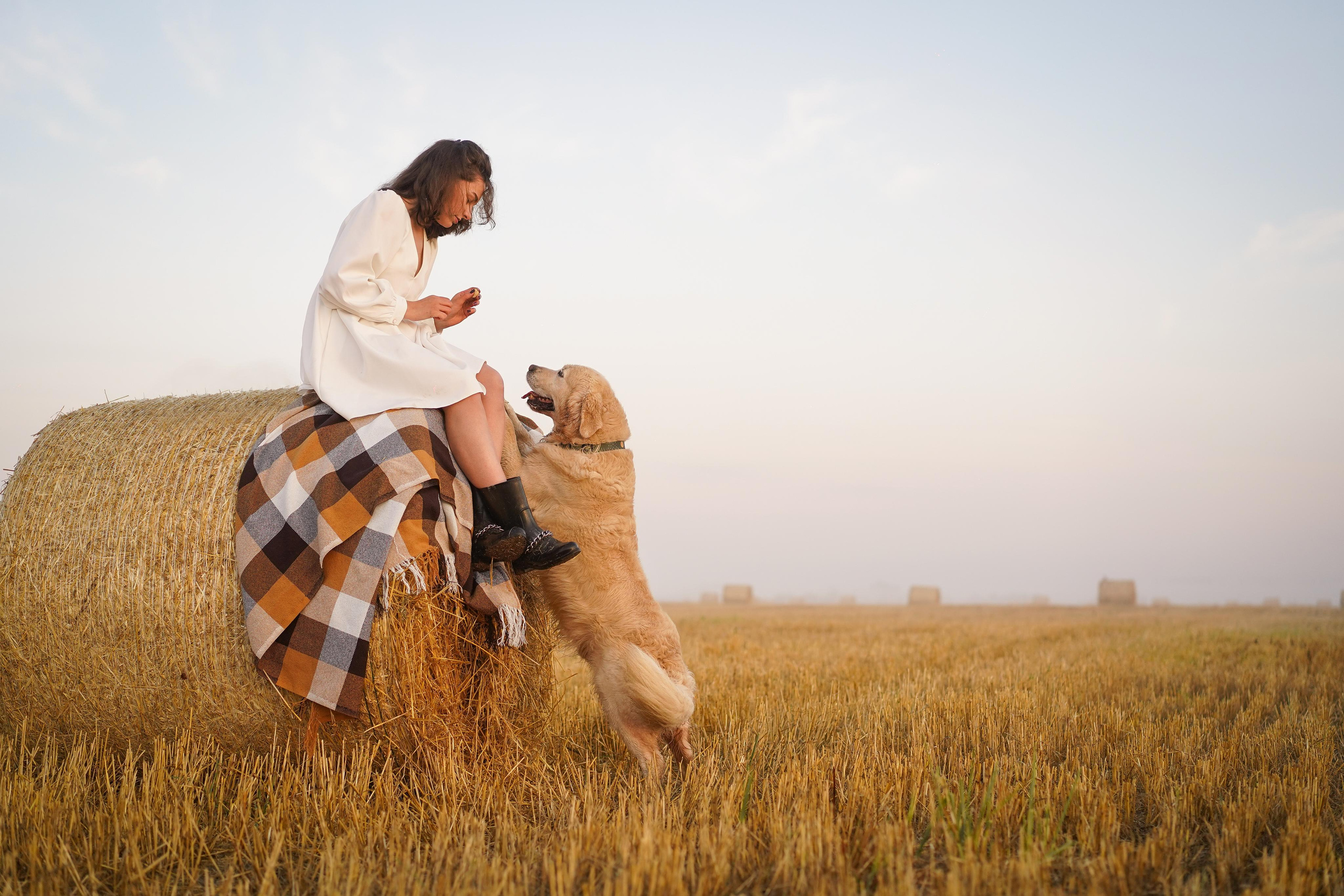 Настя и Арчи в полях. Фотограф-анималист в Санкт-Петербурге Яна Мартынова