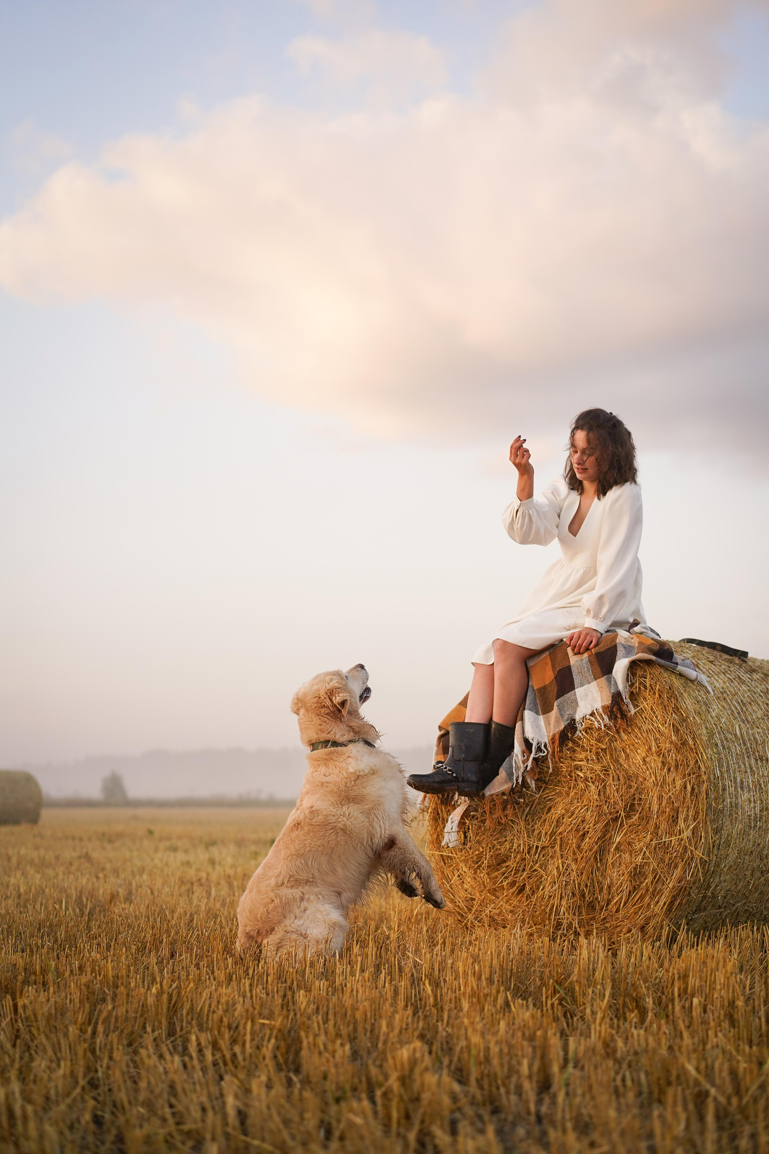 Настя и Арчи в полях. Фотограф-анималист в Санкт-Петербурге Яна Мартынова