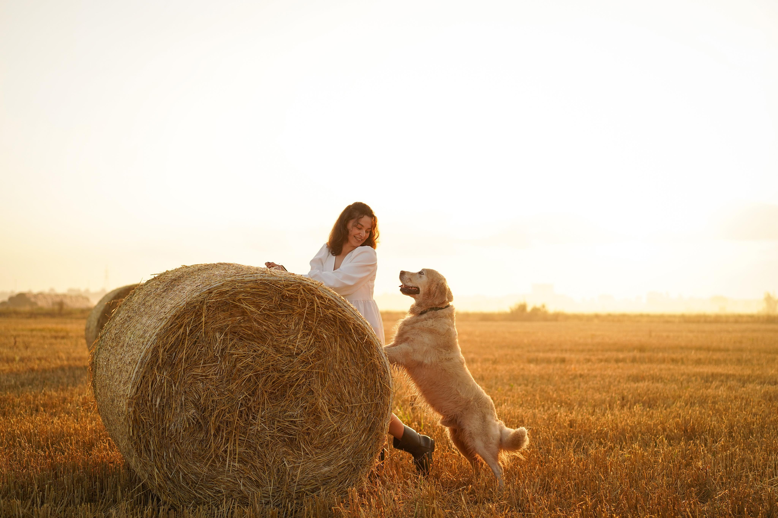 Настя и Арчи в полях. Фотограф-анималист в Санкт-Петербурге Яна Мартынова