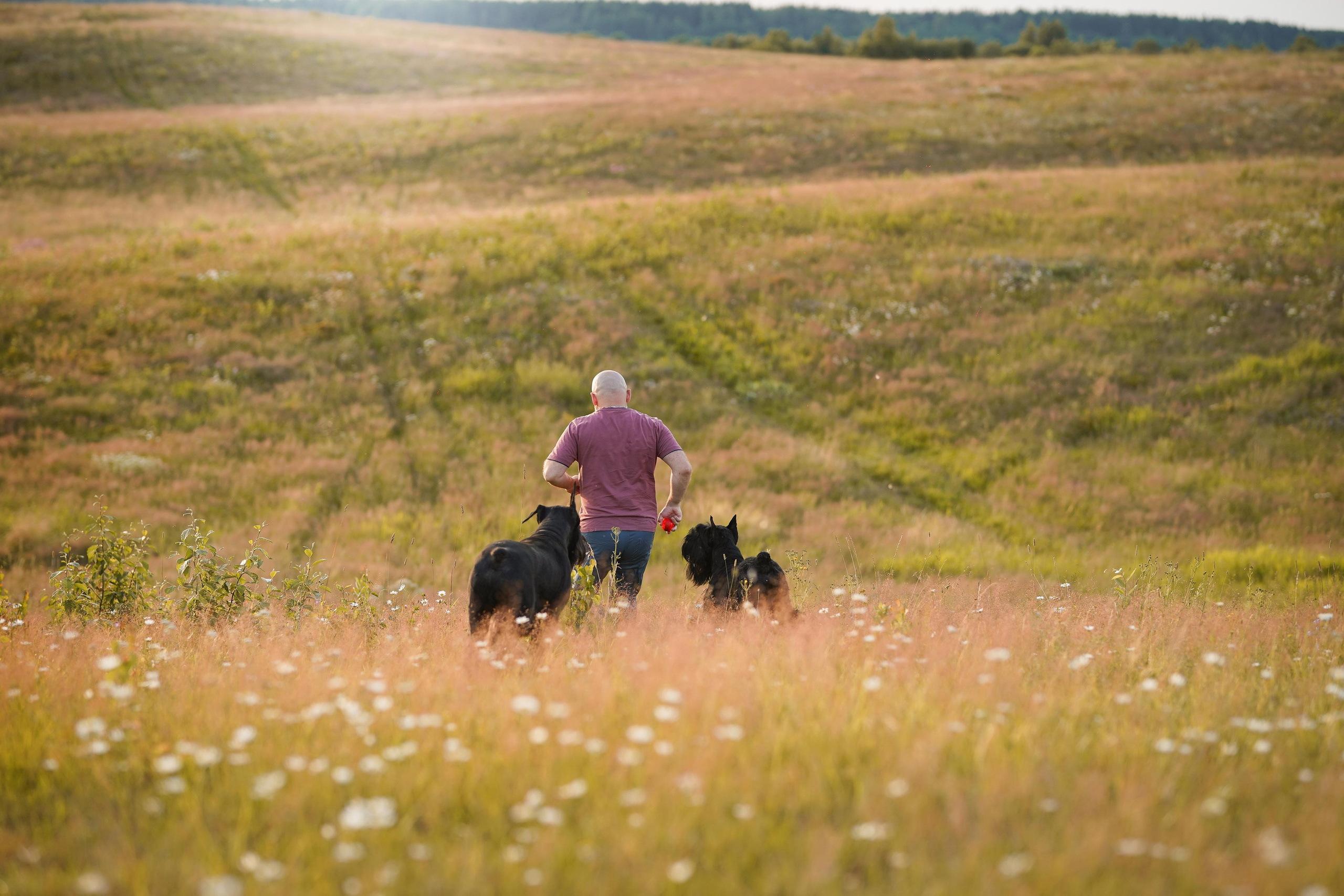 Оля Миша и песели. Фотограф-анималист в Санкт-Петербурге Яна Мартынова