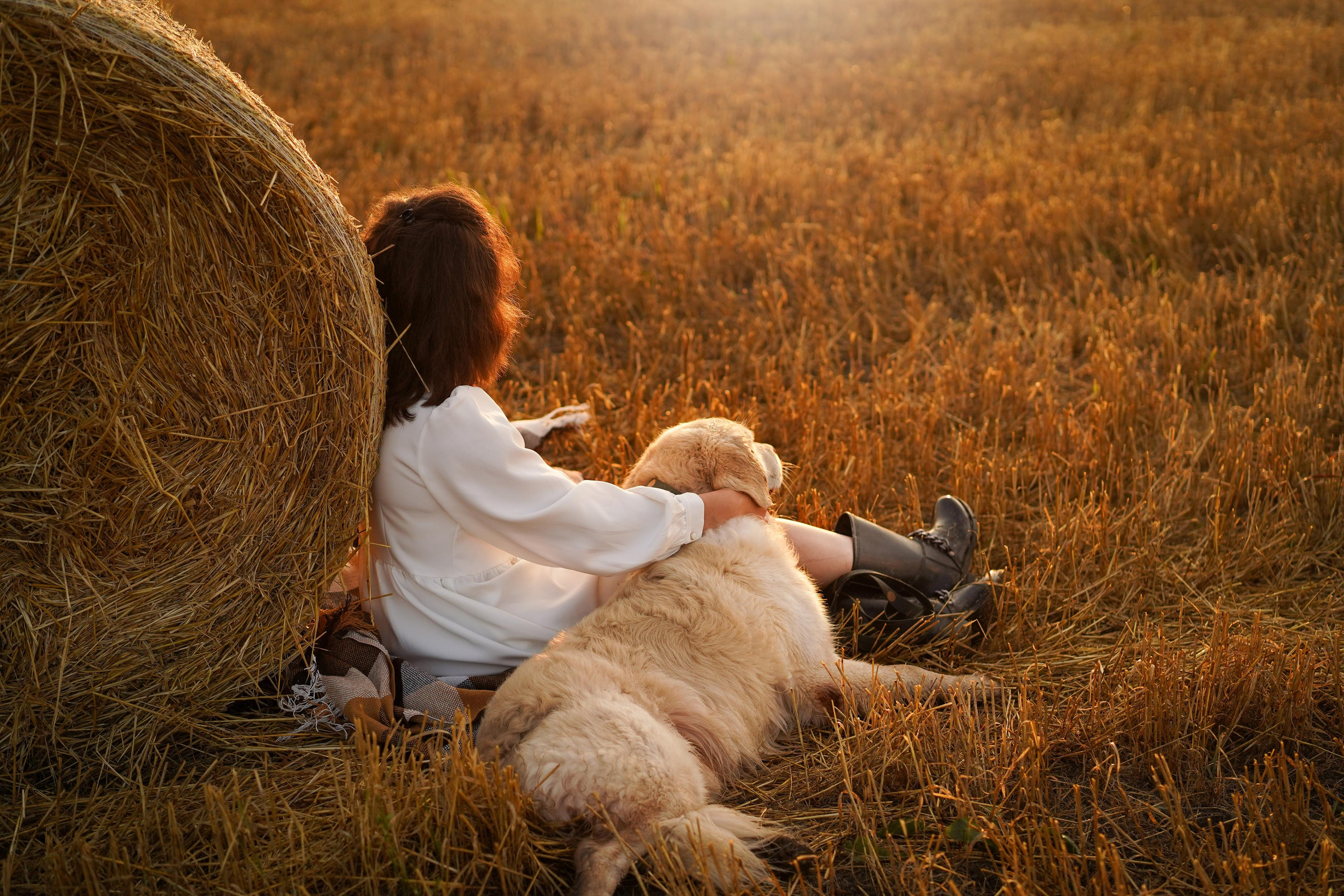 Настя и Арчи в полях. Фотограф-анималист в Санкт-Петербурге Яна Мартынова