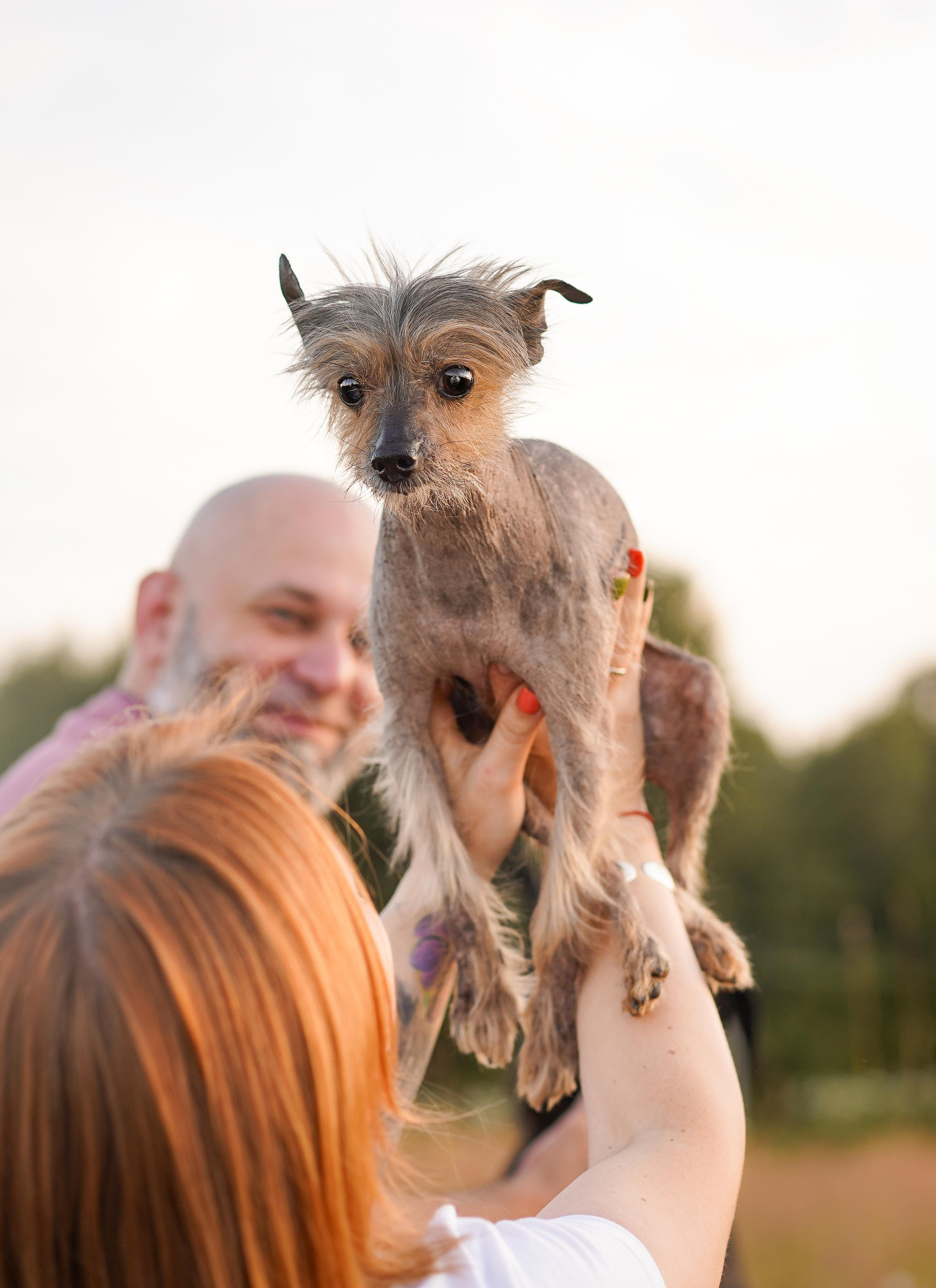 Оля Миша и песели. Фотограф-анималист в Санкт-Петербурге Яна Мартынова
