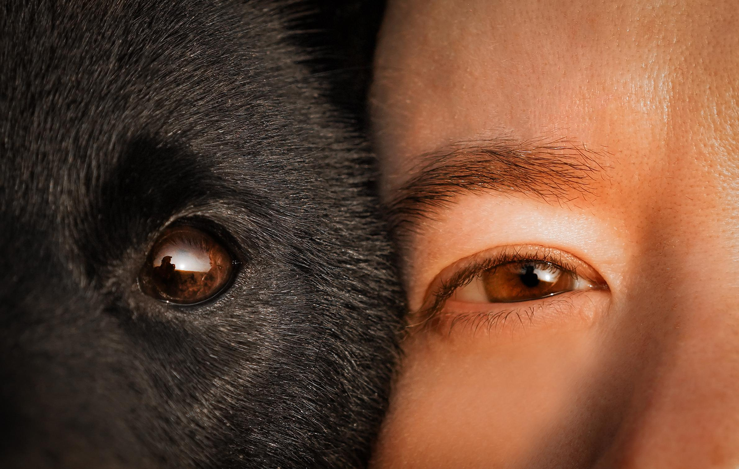 Аня и Арчи. Фотограф-анималист в Санкт-Петербурге Яна Мартынова