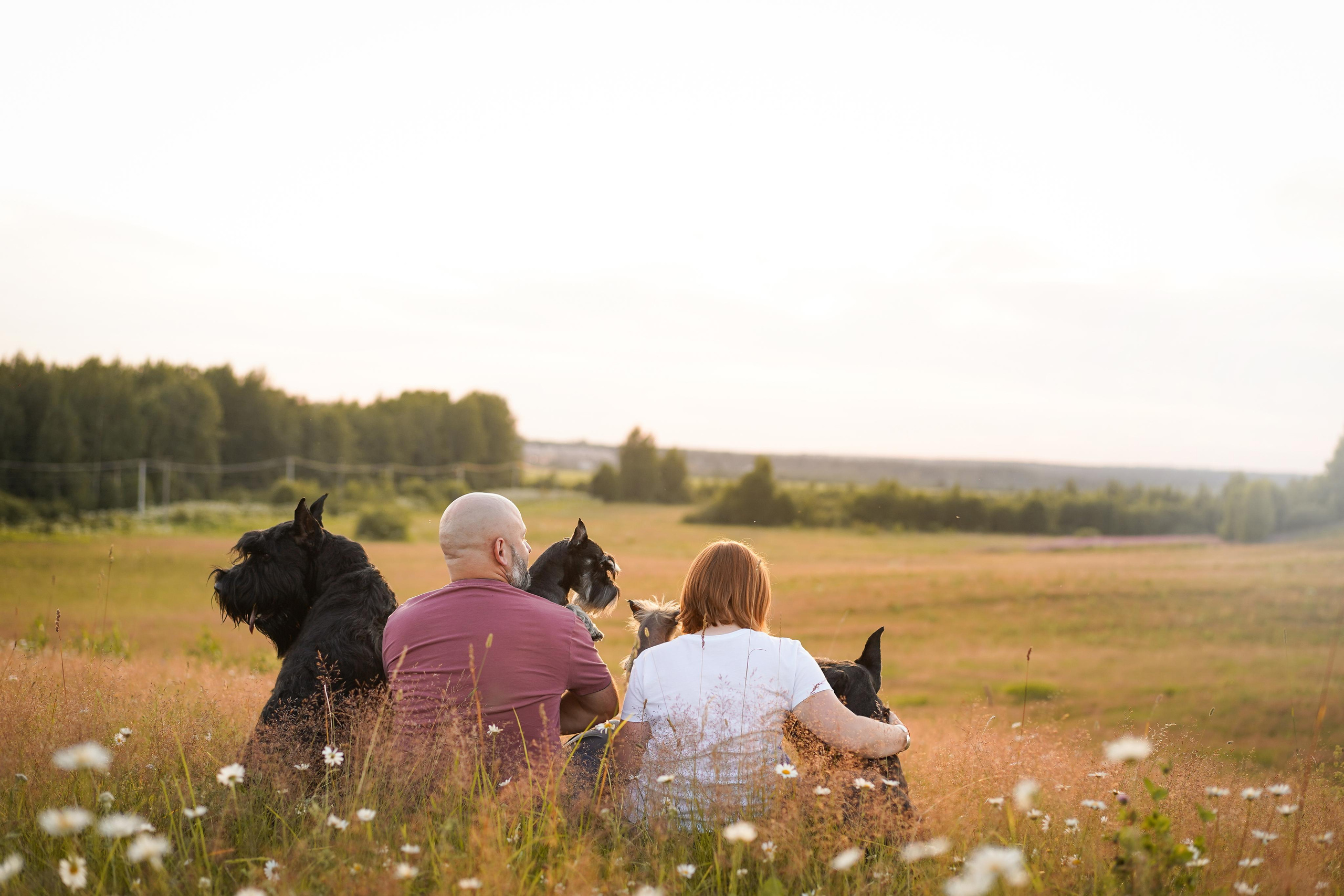 Оля Миша и песели. Фотограф-анималист в Санкт-Петербурге Яна Мартынова