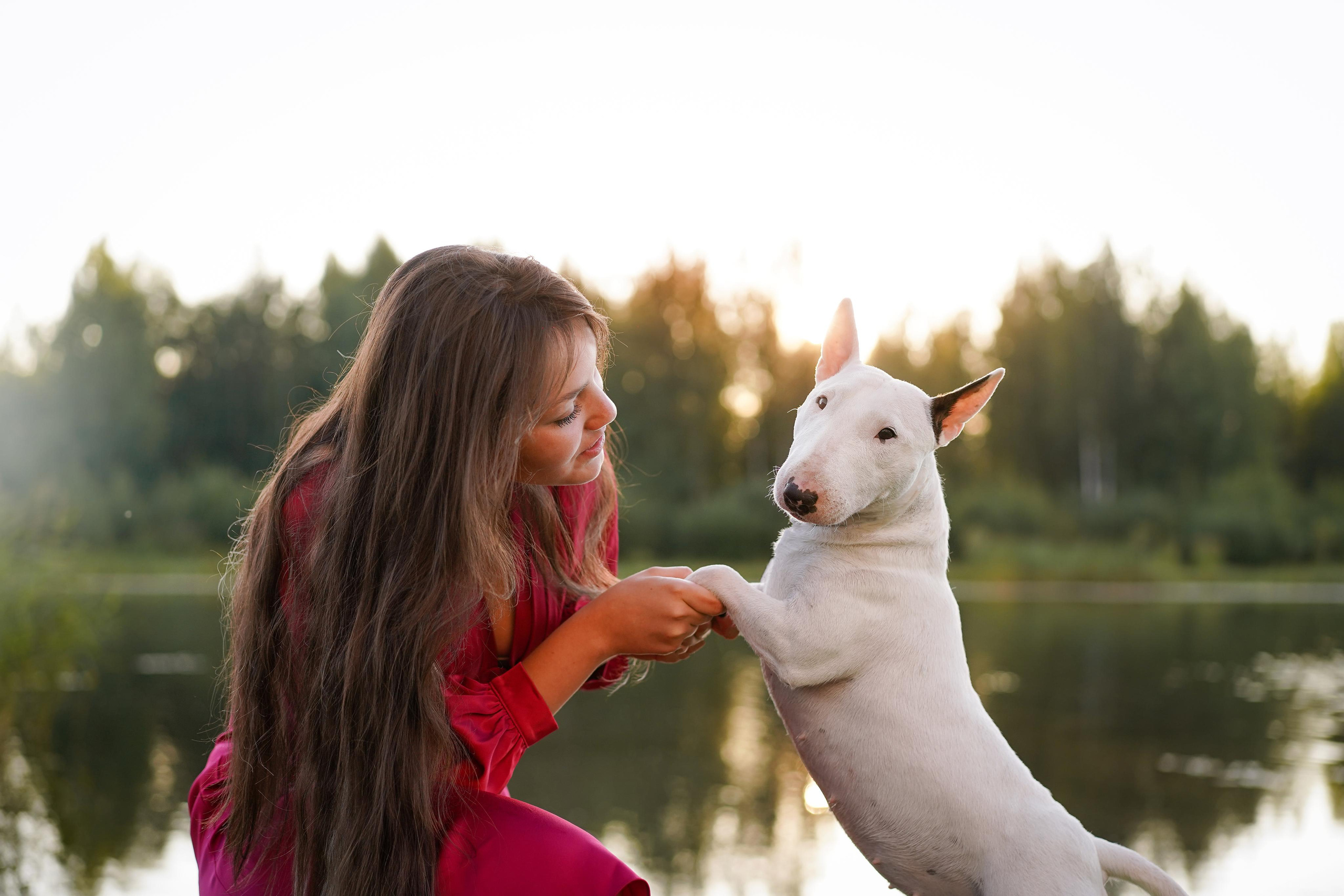 Таисия и Баля. Фотограф-анималист в Санкт-Петербурге Яна Мартынова