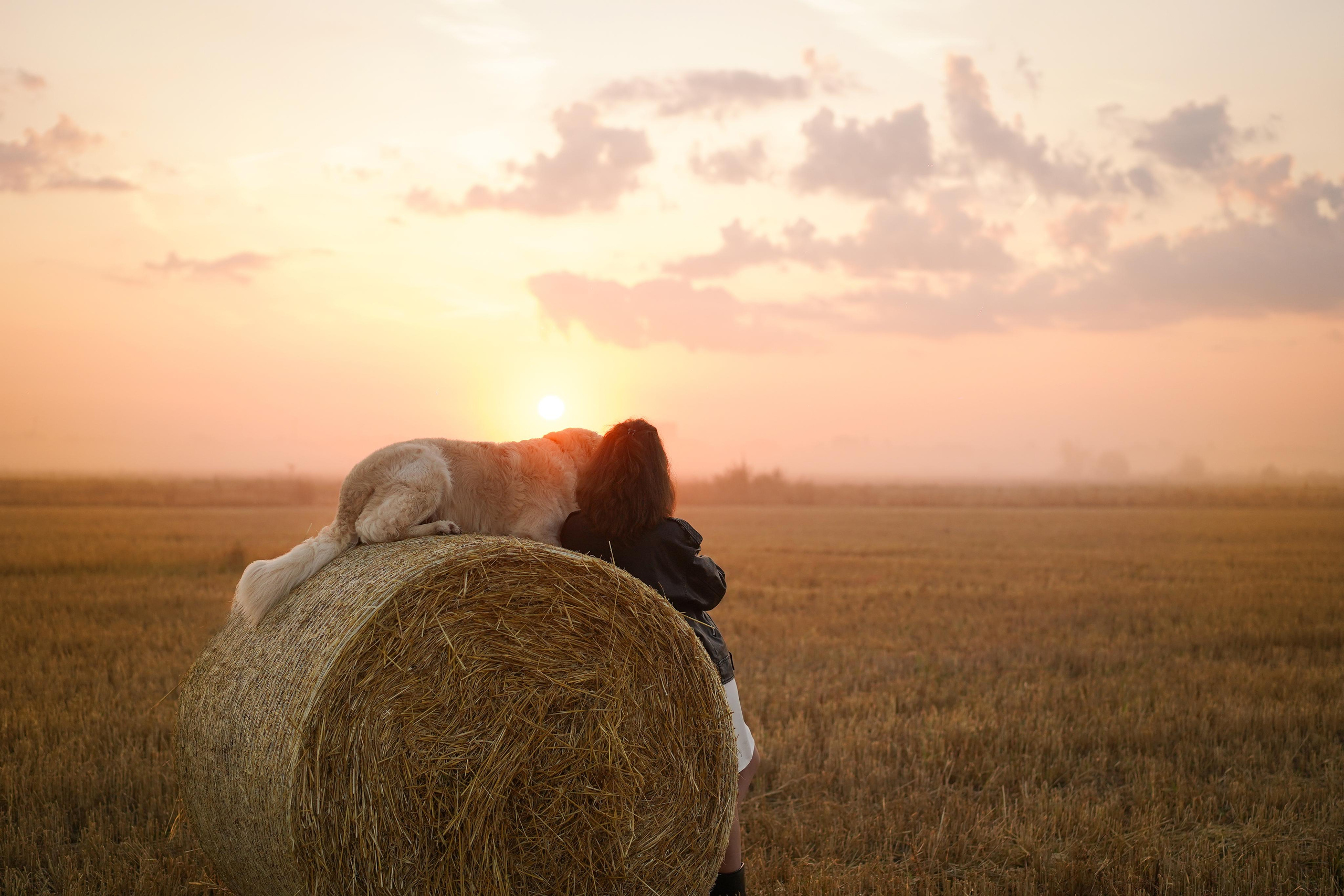 Настя и Арчи в полях. Фотограф-анималист в Санкт-Петербурге Яна Мартынова