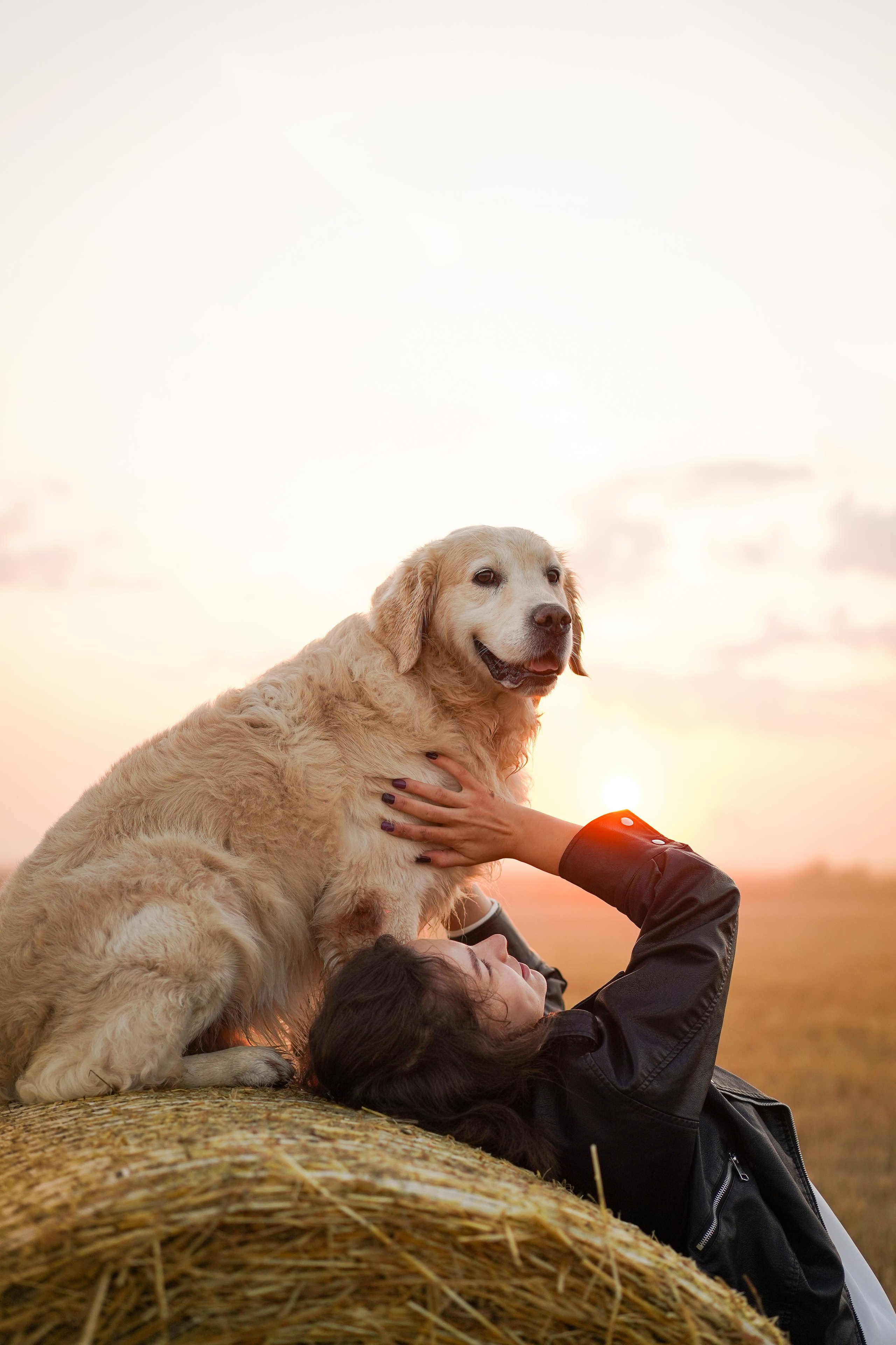 Настя и Арчи в полях. Фотограф-анималист в Санкт-Петербурге Яна Мартынова