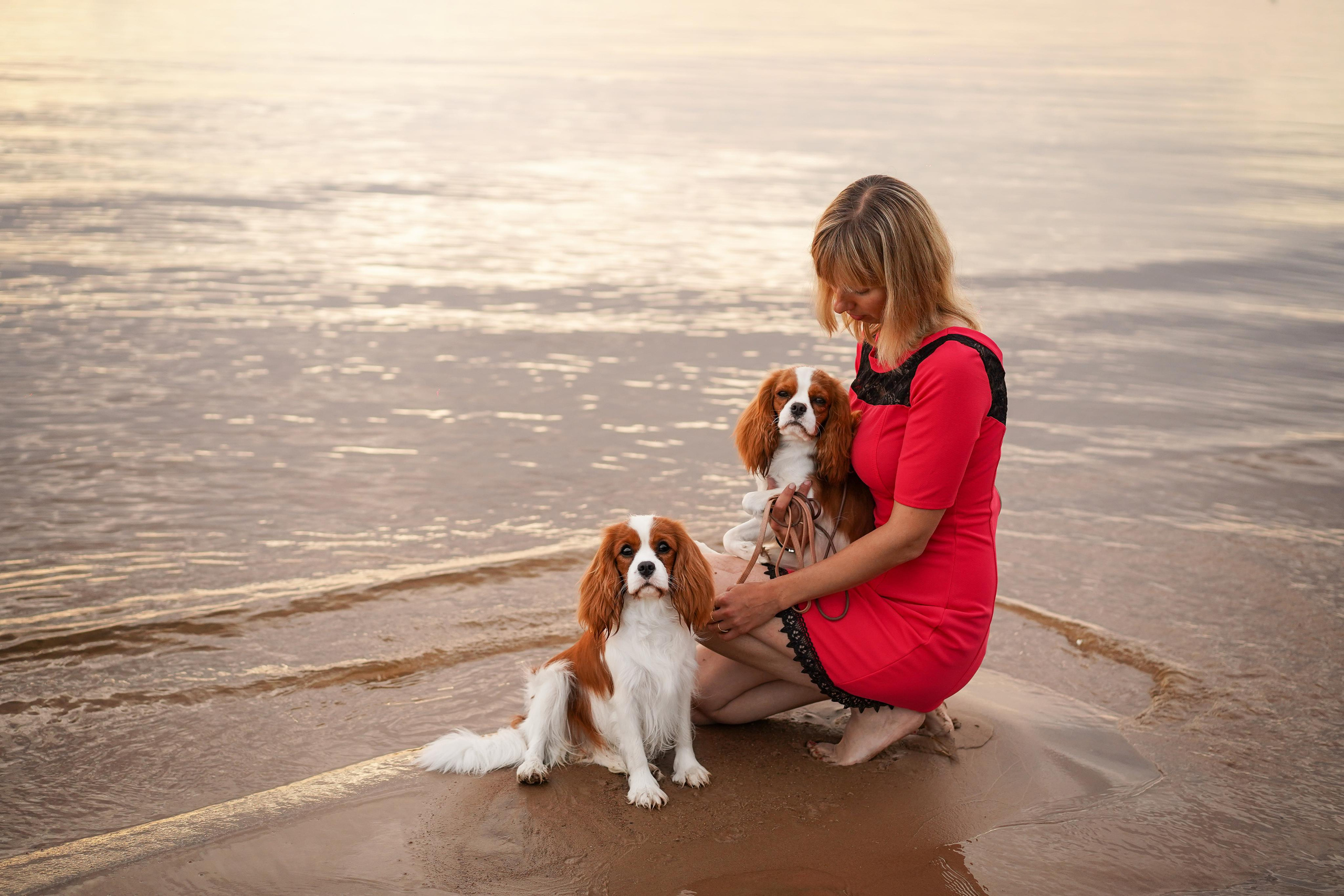 Катя, Злата и Луна. Фотограф-анималист в Санкт-Петербурге Яна Мартынова
