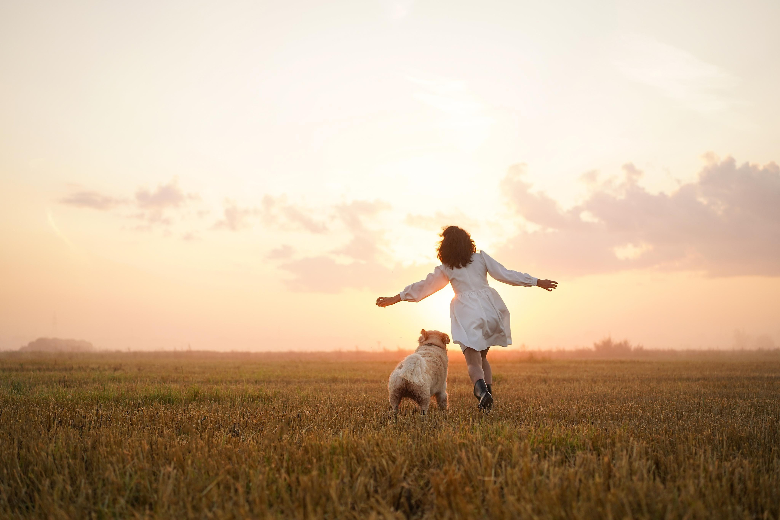 Настя и Арчи в полях. Фотограф-анималист в Санкт-Петербурге Яна Мартынова