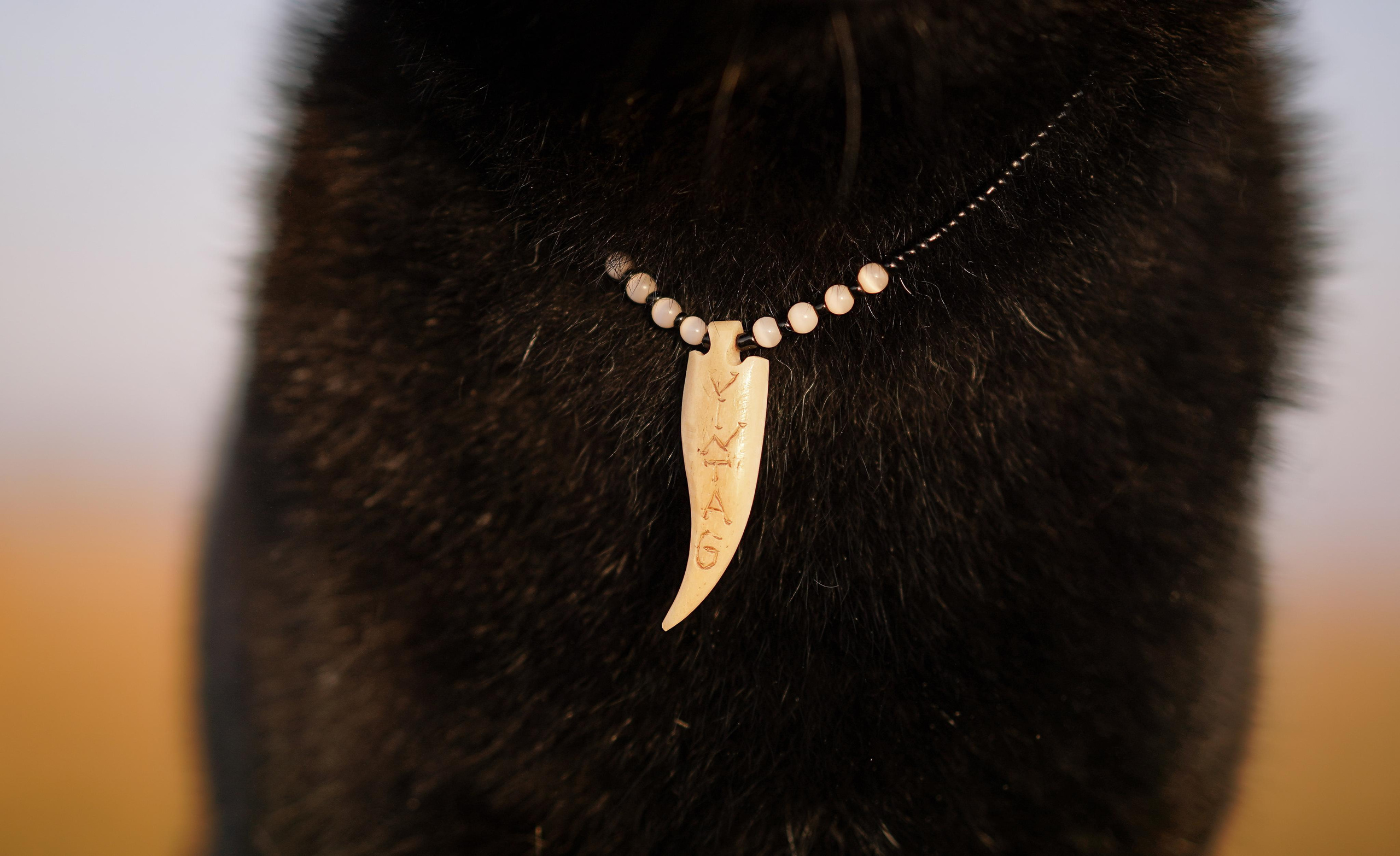 Аня и Арчи. Фотограф-анималист в Санкт-Петербурге Яна Мартынова