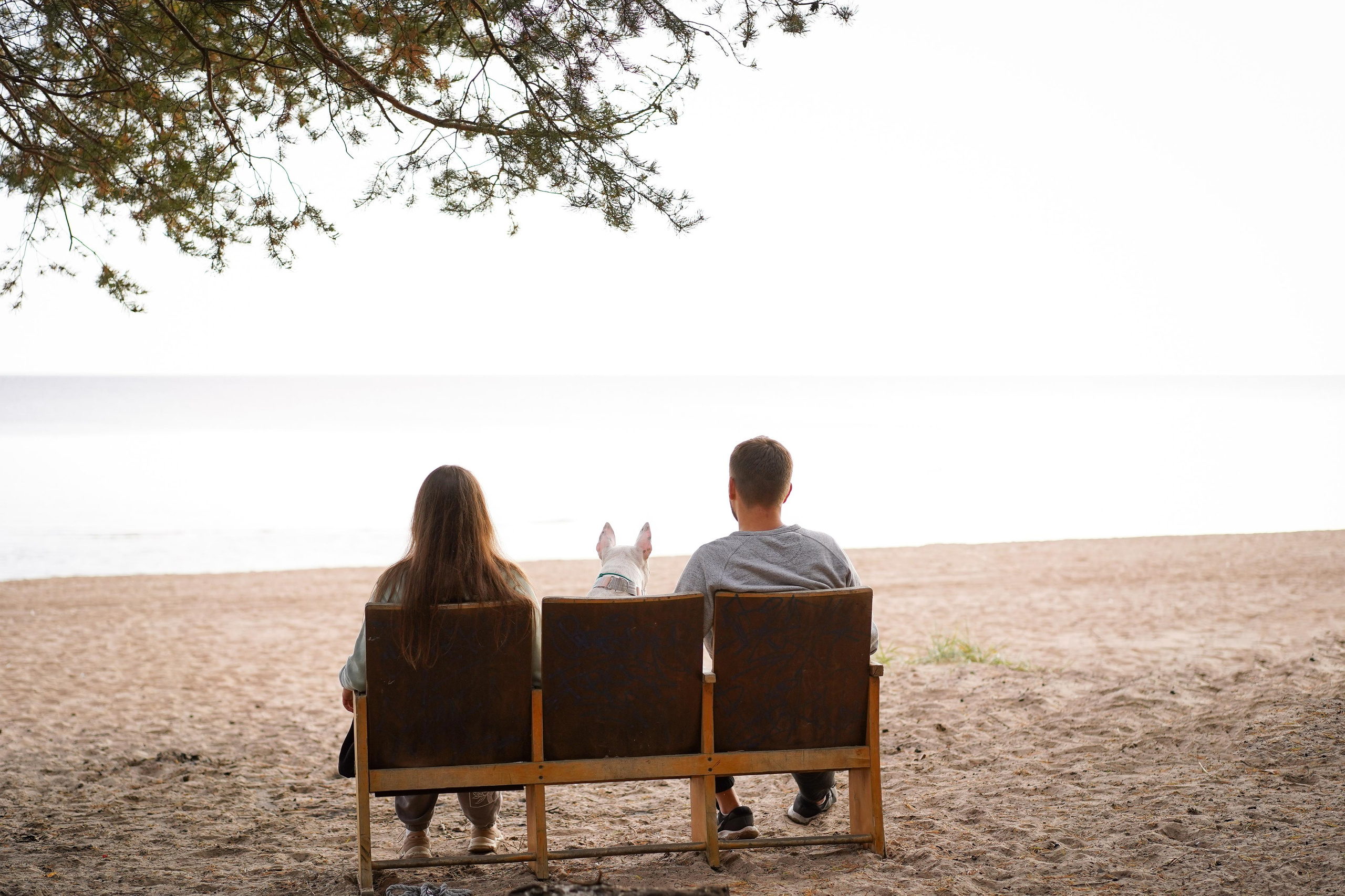 Настя Рома и Сахар. Фотограф-анималист в Санкт-Петербурге Яна Мартынова