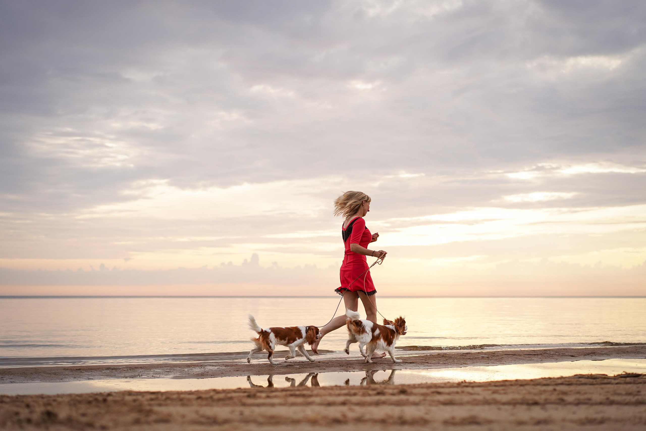 Катя, Злата и Луна. Фотограф-анималист в Санкт-Петербурге Яна Мартынова