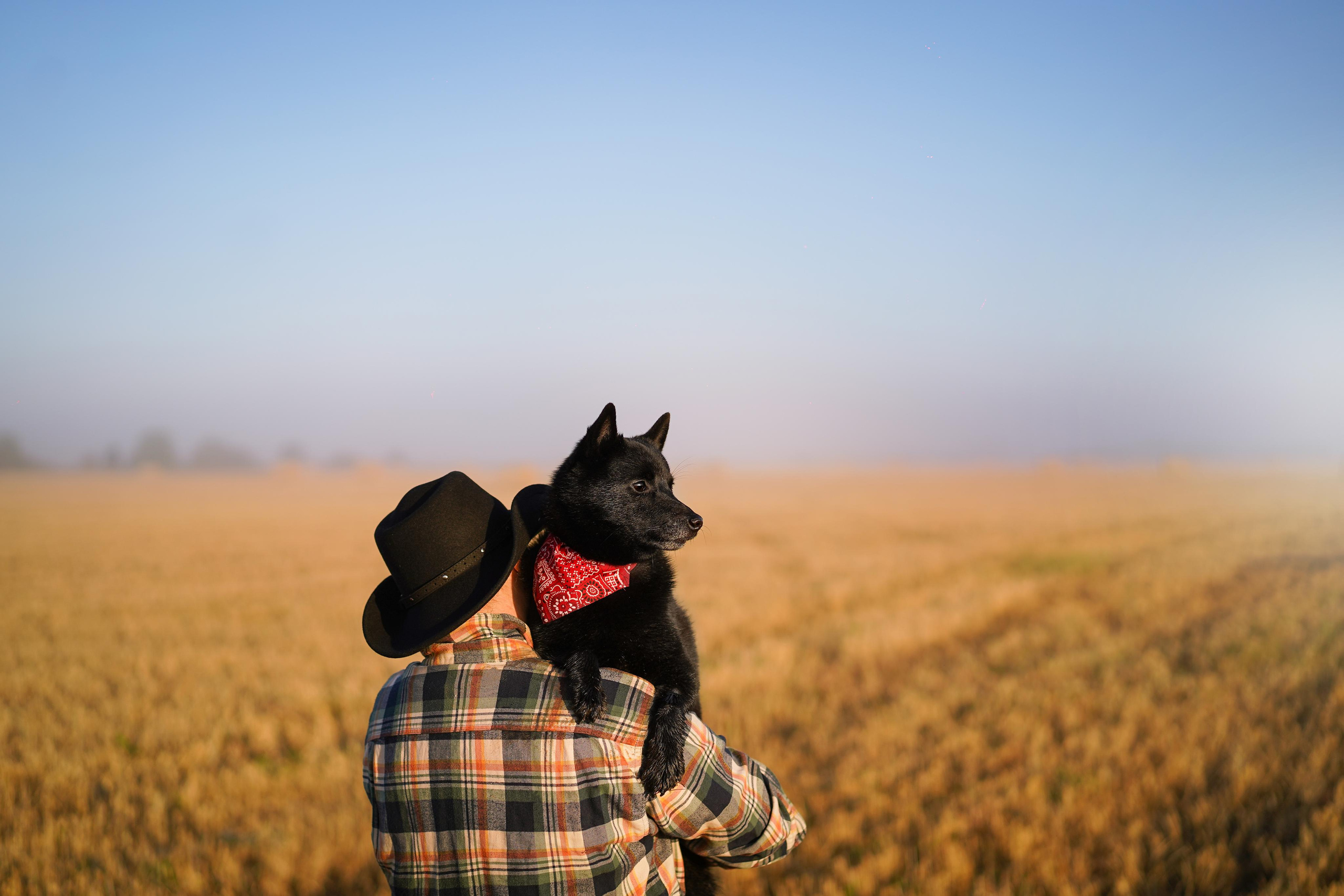 Аня и Арчи. Фотограф-анималист в Санкт-Петербурге Яна Мартынова