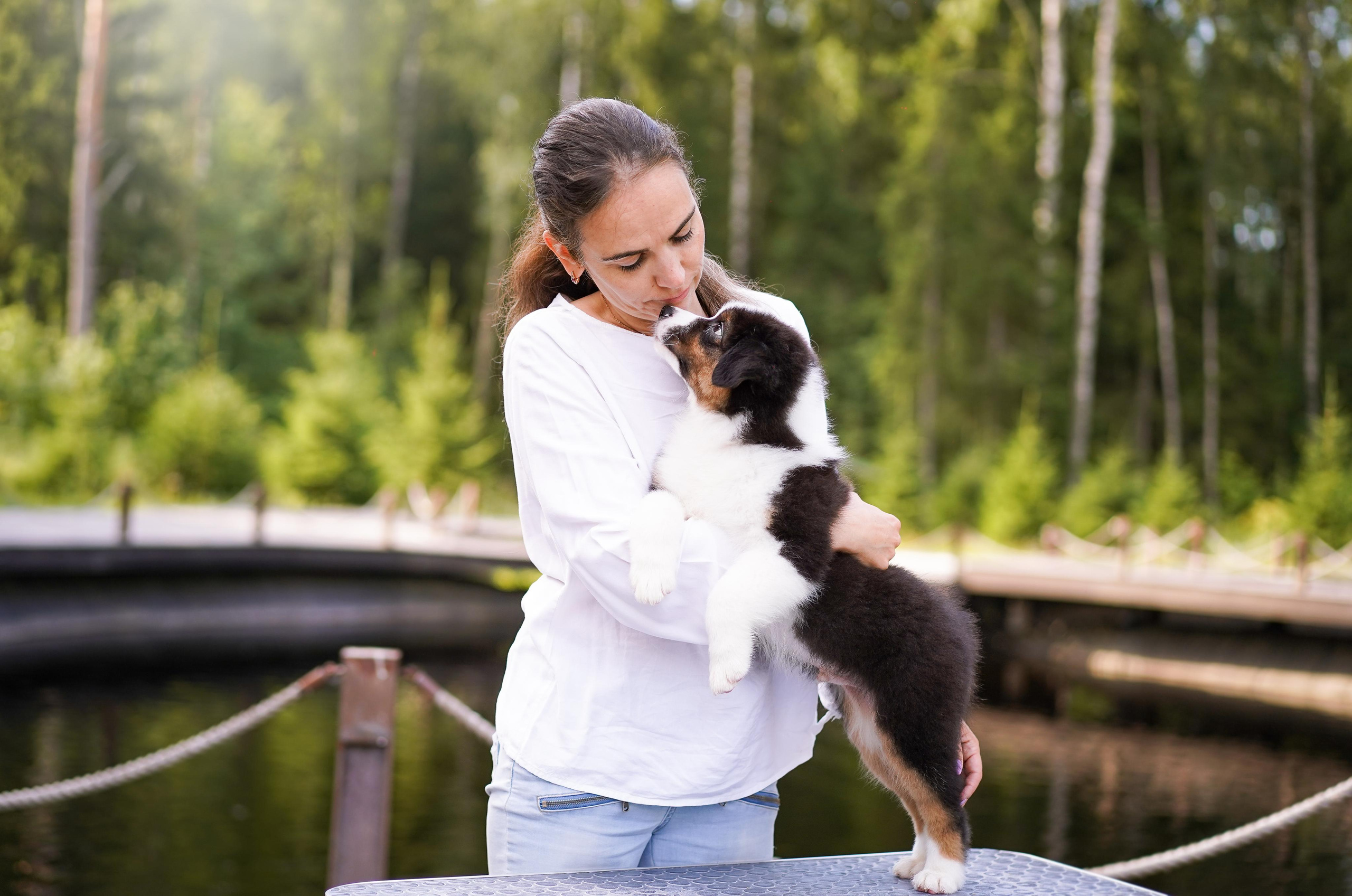 Щены аусси. Фотограф-анималист в Санкт-Петербурге Яна Мартынова
