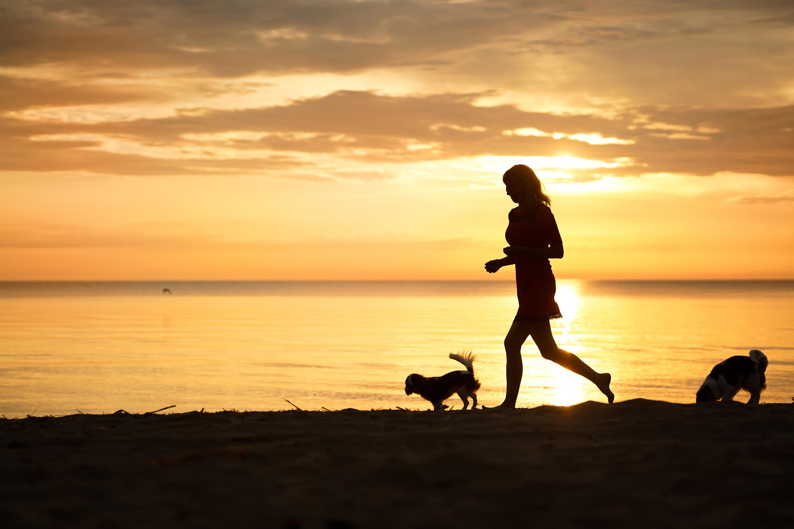 Катя, Злата и Луна. Фотограф-анималист в Санкт-Петербурге Яна Мартынова