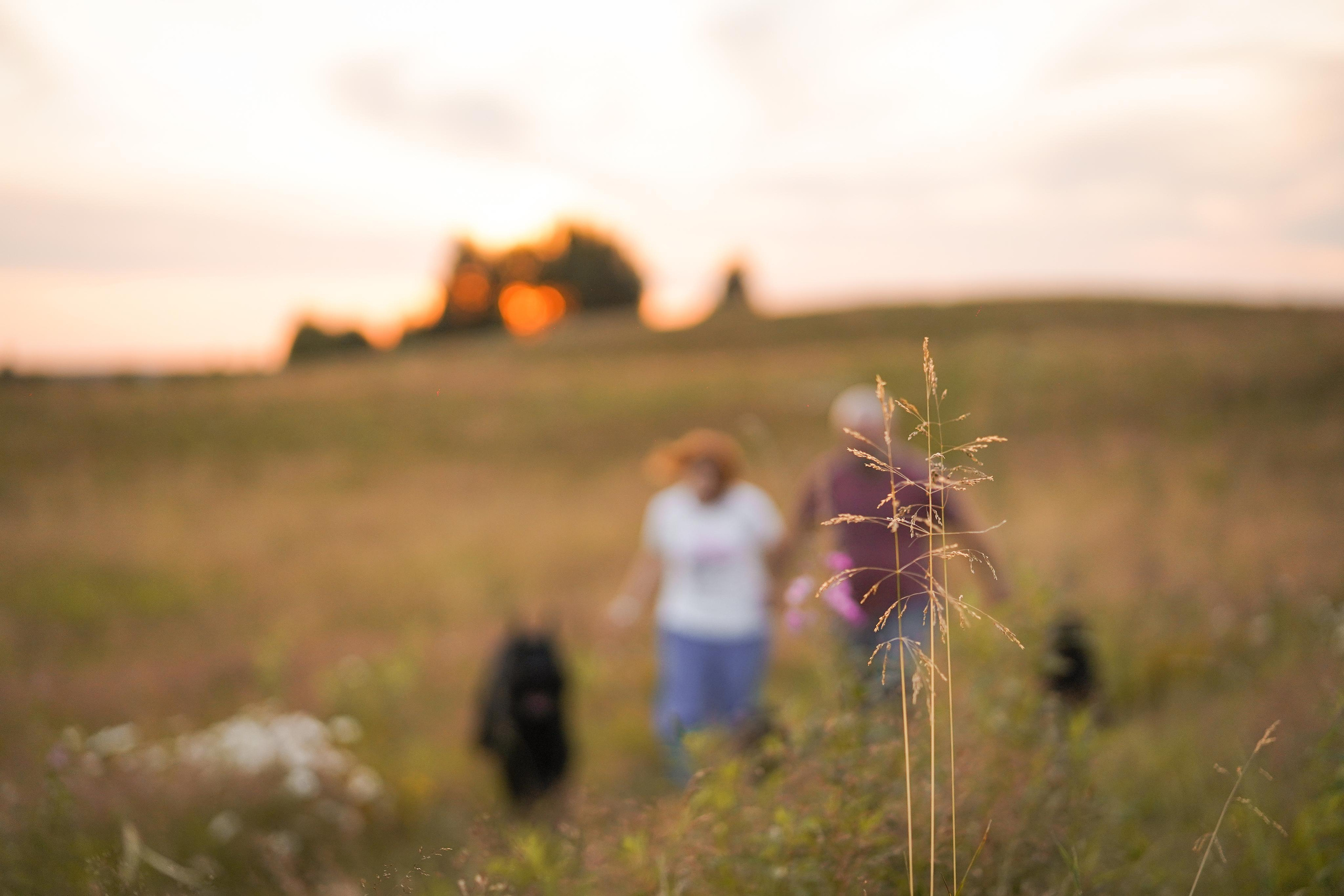 Оля Миша и песели. Фотограф-анималист в Санкт-Петербурге Яна Мартынова