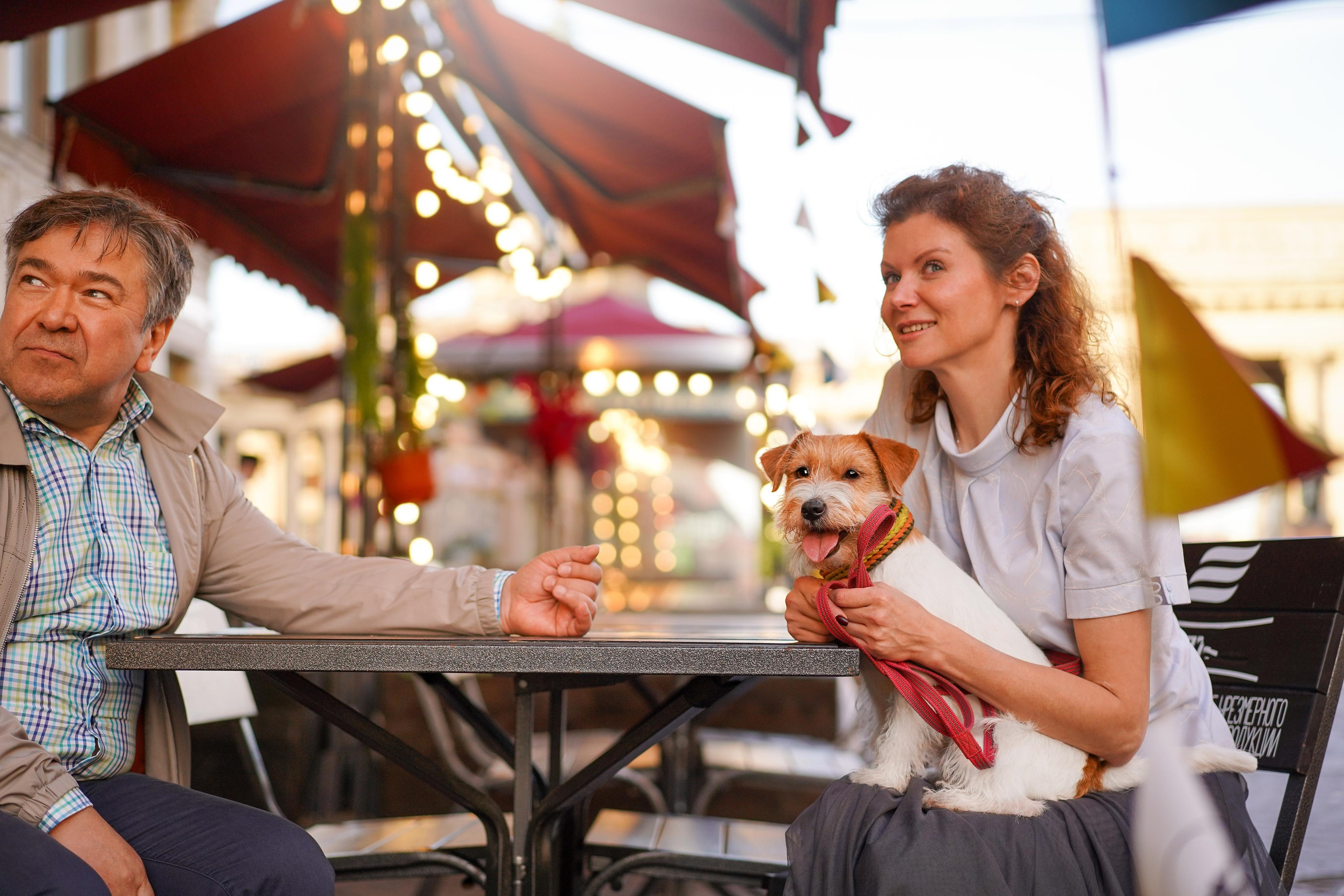 Андрей Ильгиза и Гая. Фотограф-анималист в Санкт-Петербурге Яна Мартынова