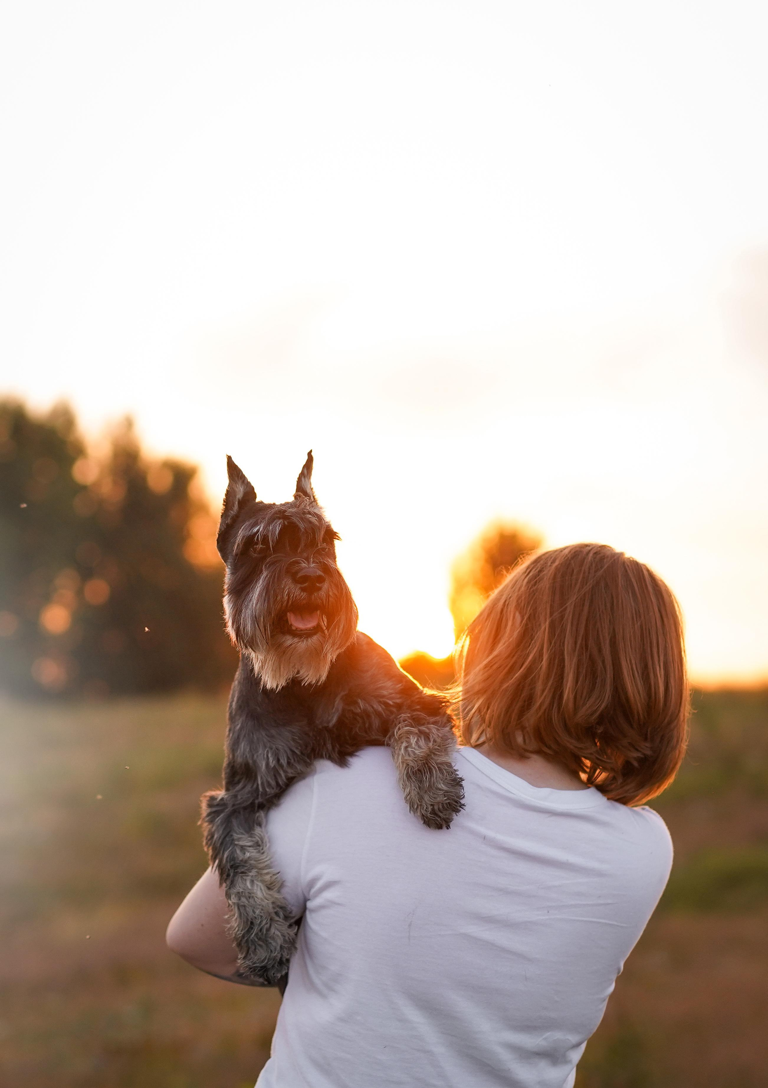 Оля Миша и песели. Фотограф-анималист в Санкт-Петербурге Яна Мартынова