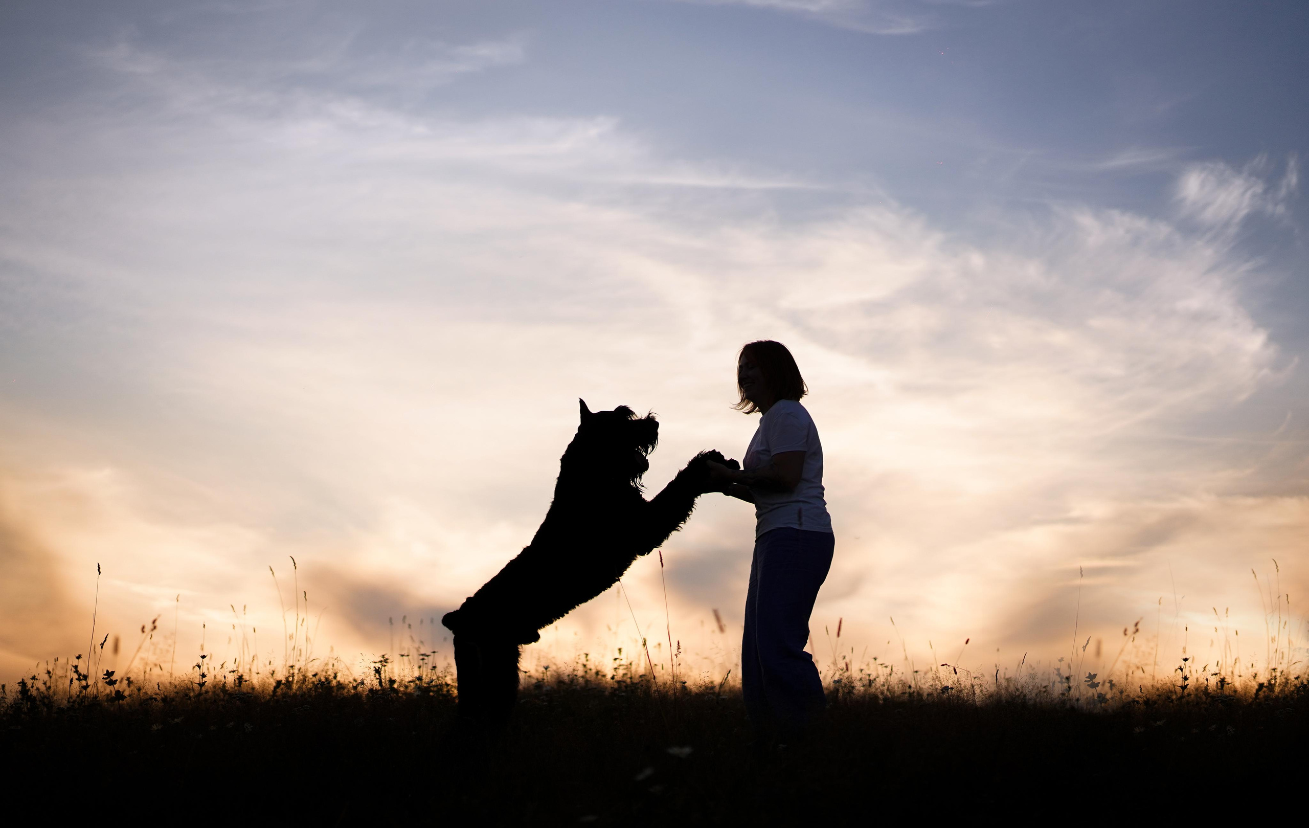 Оля Миша и песели. Фотограф-анималист в Санкт-Петербурге Яна Мартынова