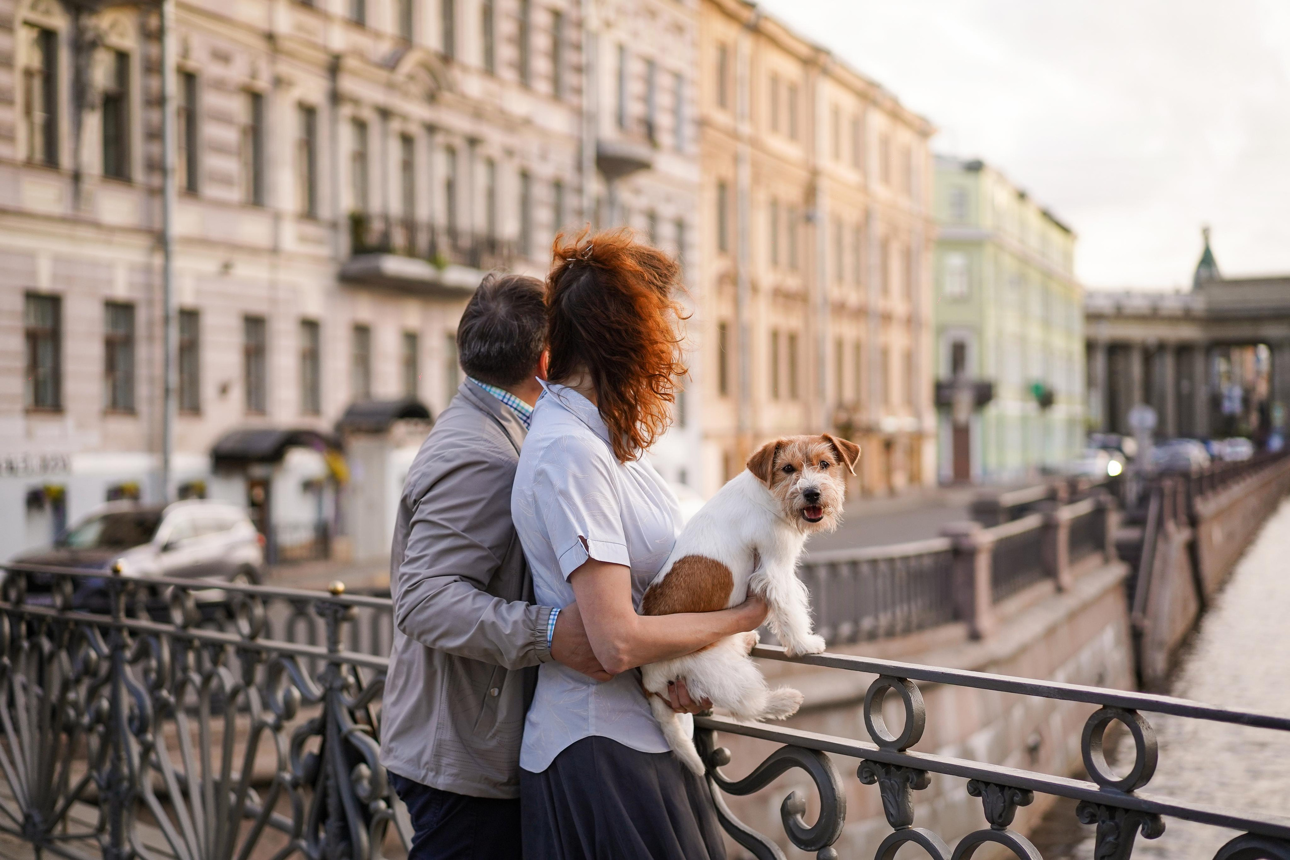 Андрей Ильгиза и Гая. Фотограф-анималист в Санкт-Петербурге Яна Мартынова