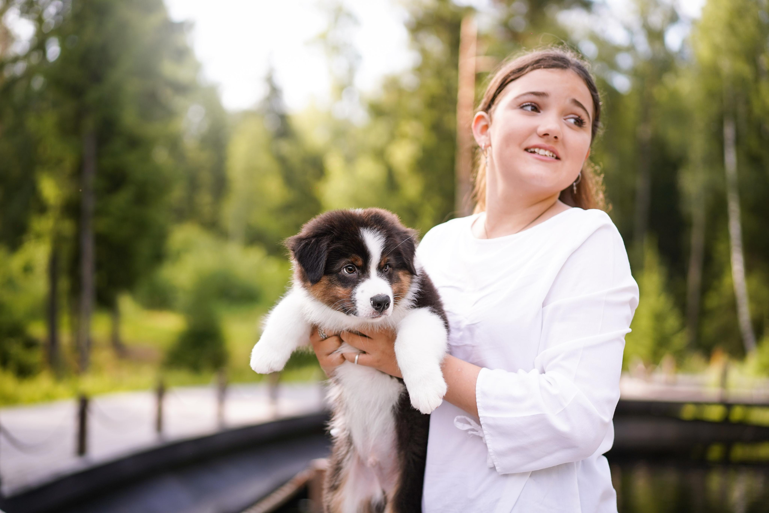 Щены аусси. Фотограф-анималист в Санкт-Петербурге Яна Мартынова