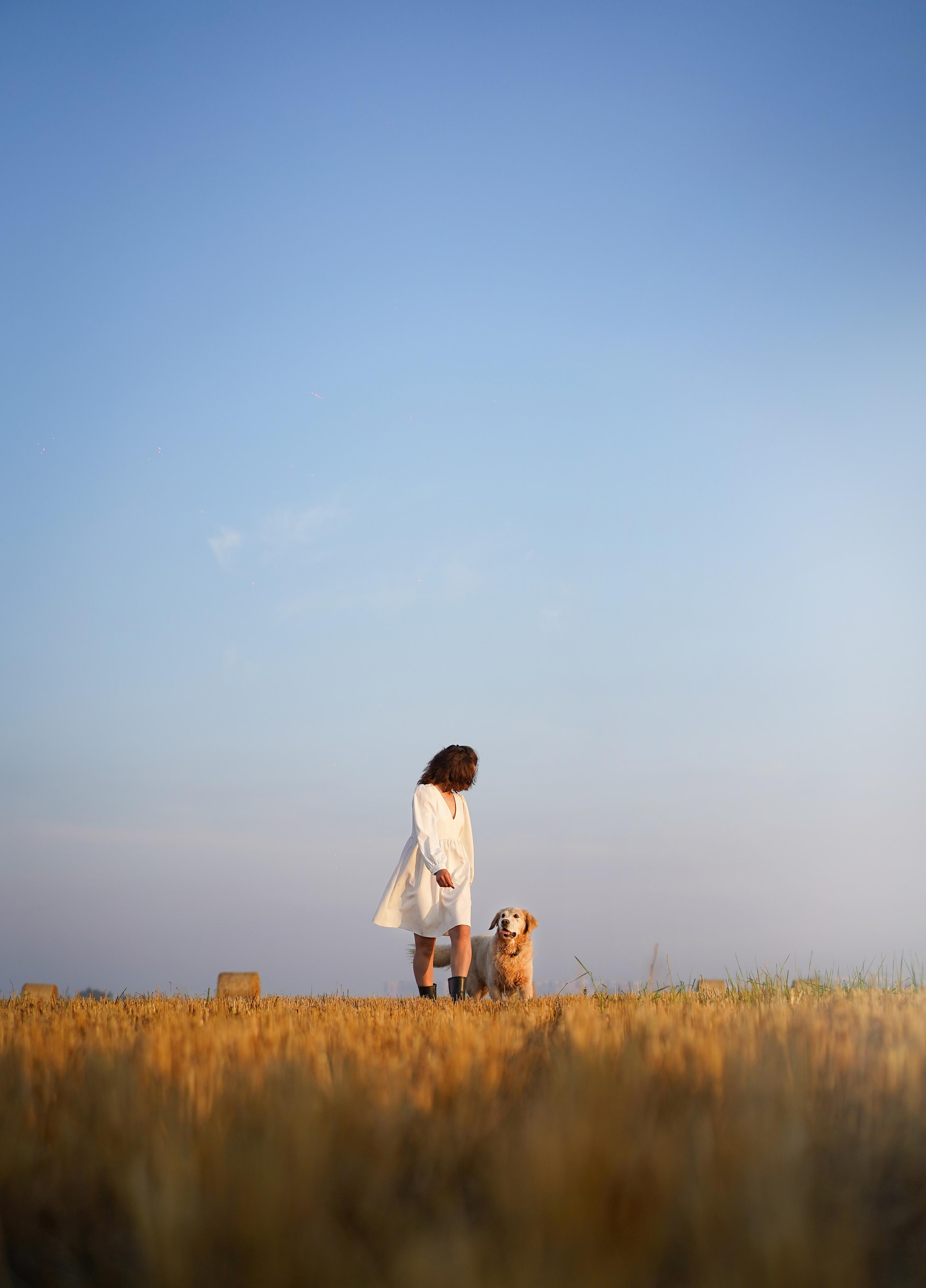 Настя и Арчи в полях. Фотограф-анималист в Санкт-Петербурге Яна Мартынова