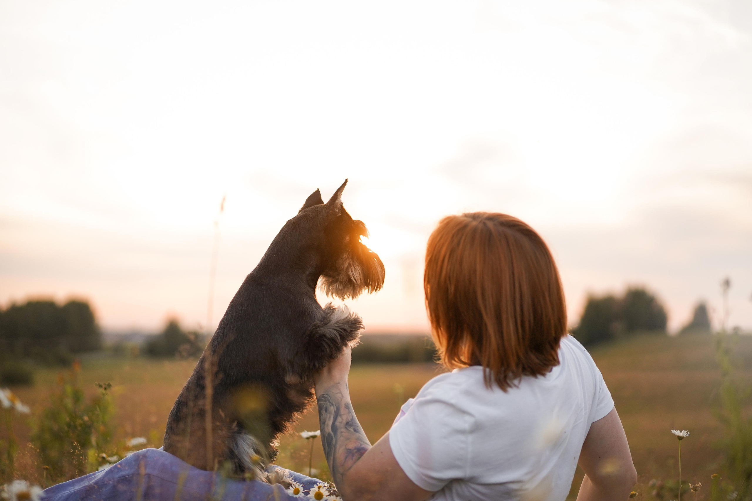 Оля Миша и песели. Фотограф-анималист в Санкт-Петербурге Яна Мартынова