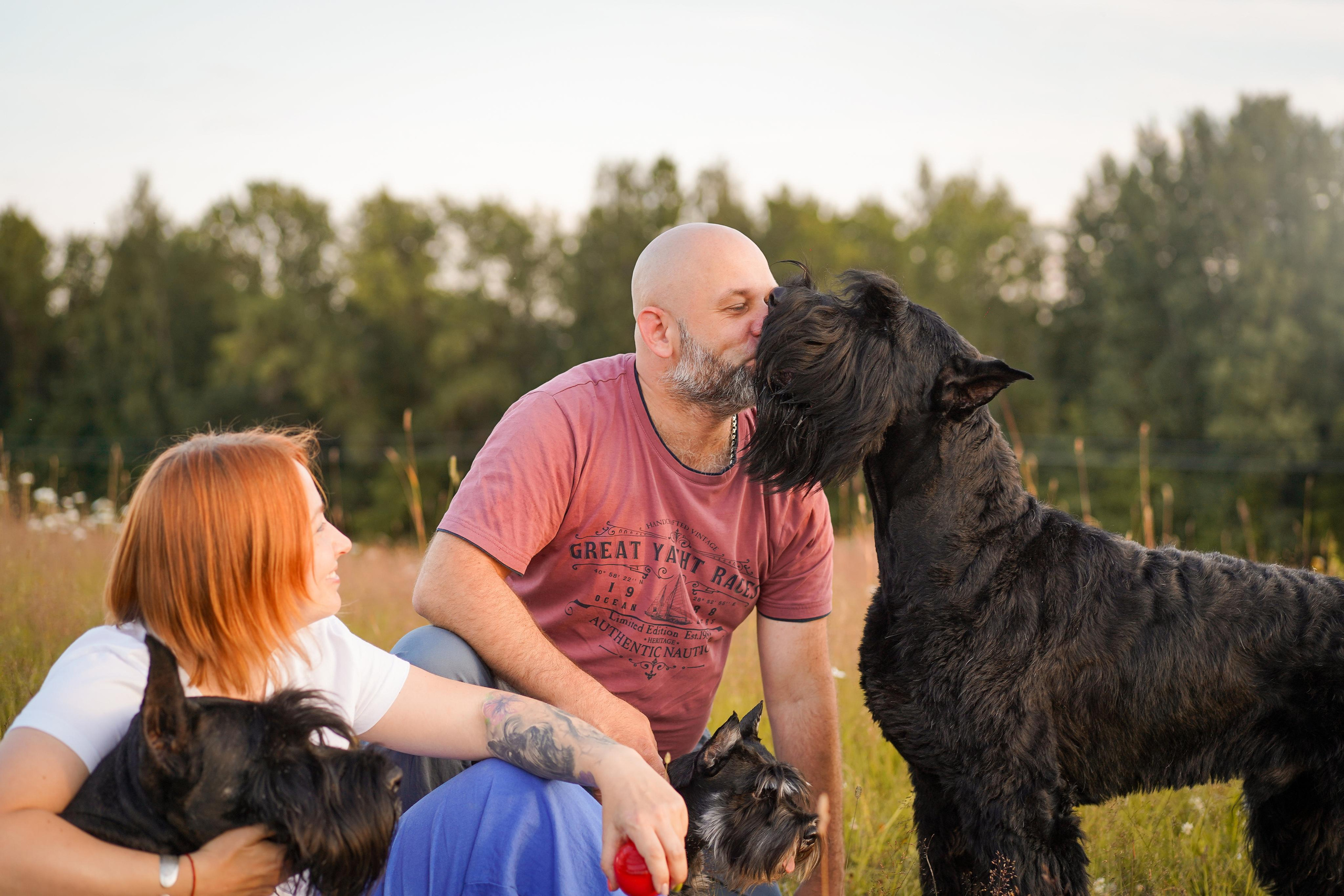 Оля Миша и песели. Фотограф-анималист в Санкт-Петербурге Яна Мартынова