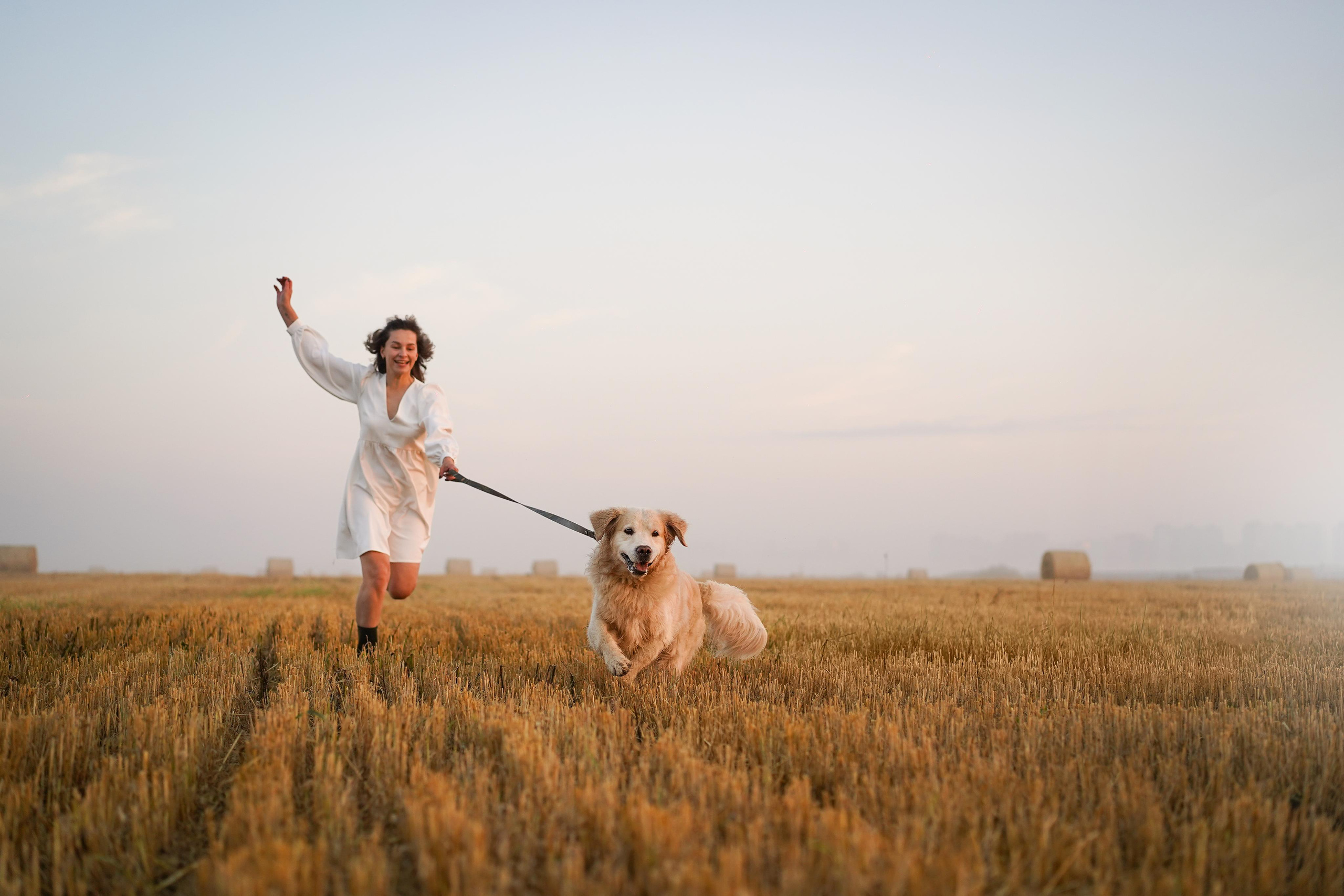 Настя и Арчи в полях. Фотограф-анималист в Санкт-Петербурге Яна Мартынова
