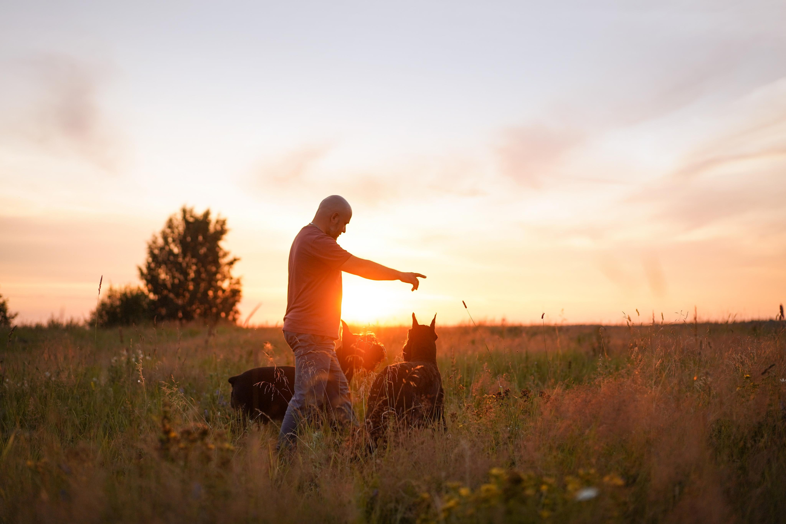 Оля Миша и песели. Фотограф-анималист в Санкт-Петербурге Яна Мартынова