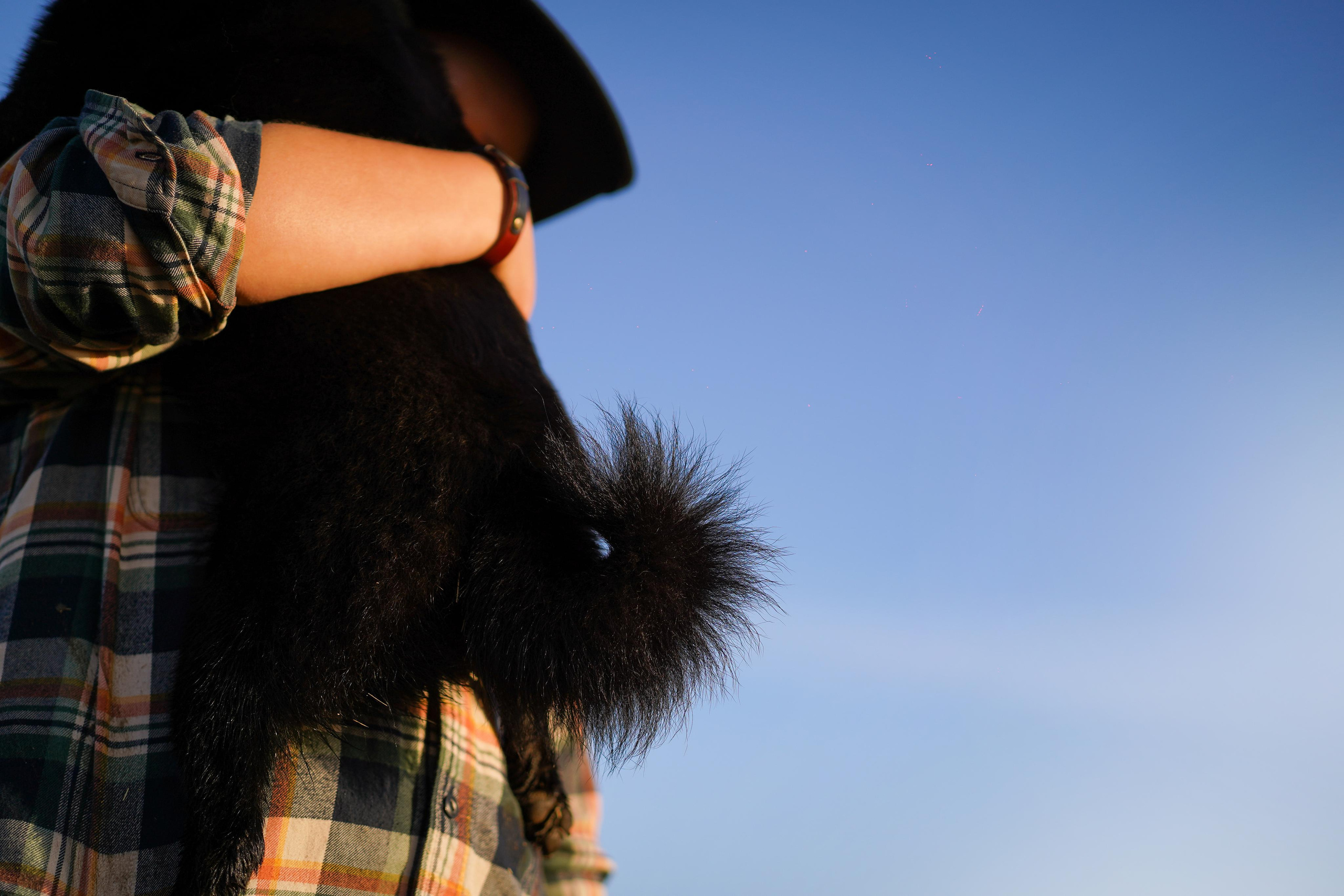 Аня и Арчи. Фотограф-анималист в Санкт-Петербурге Яна Мартынова