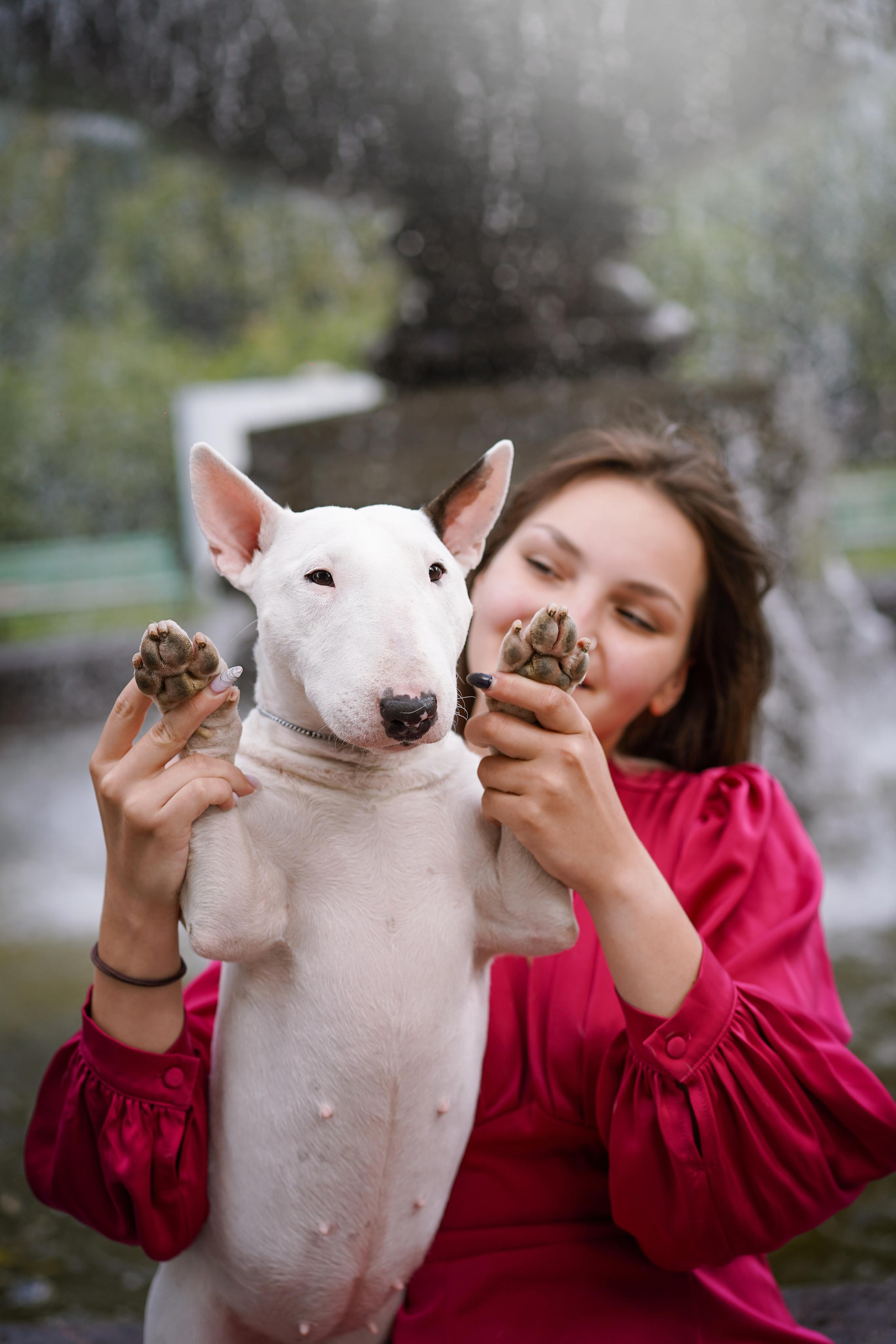 Таисия и Баля. Фотограф-анималист в Санкт-Петербурге Яна Мартынова