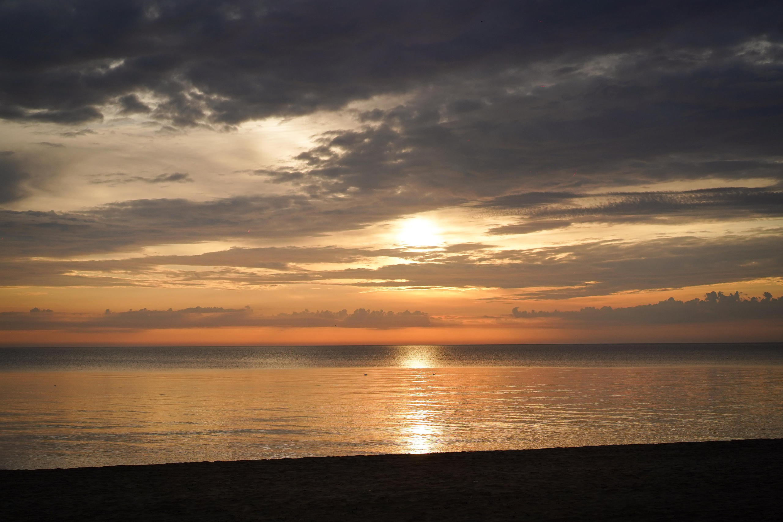 Катя, Злата и Луна. Фотограф-анималист в Санкт-Петербурге Яна Мартынова