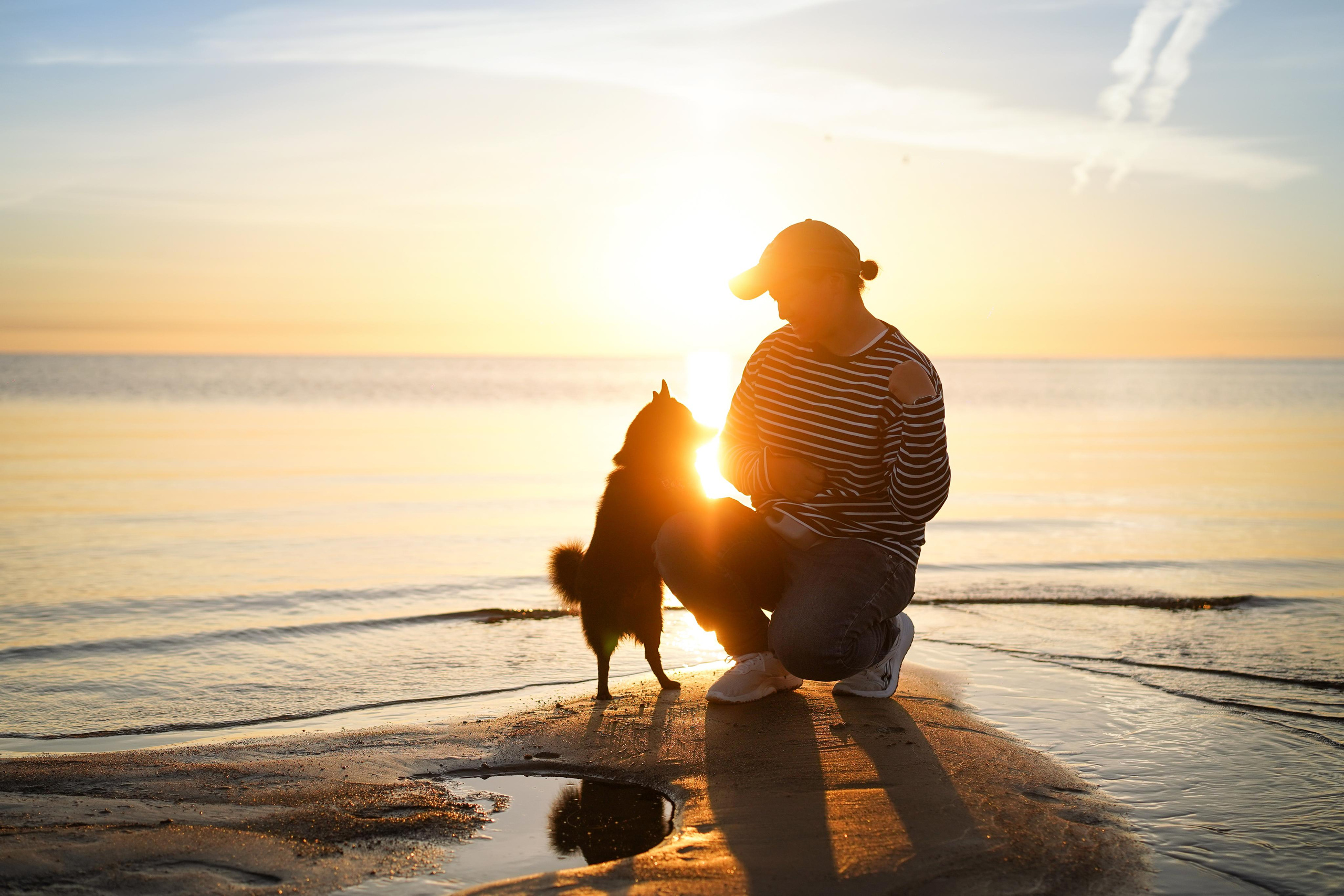 Аня и Мишель. Фотограф-анималист в Санкт-Петербурге Яна Мартынова