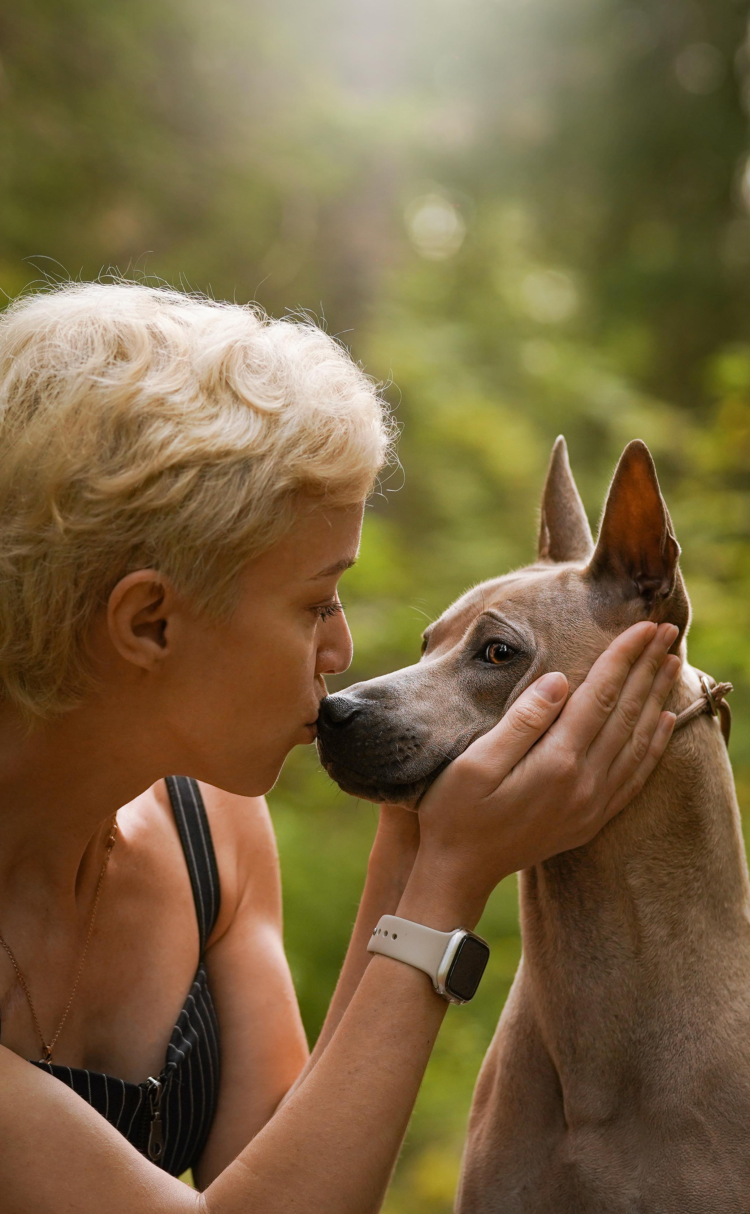 Юля Дима Грей и Тоффи. Фотограф-анималист в Санкт-Петербурге Яна Мартынова