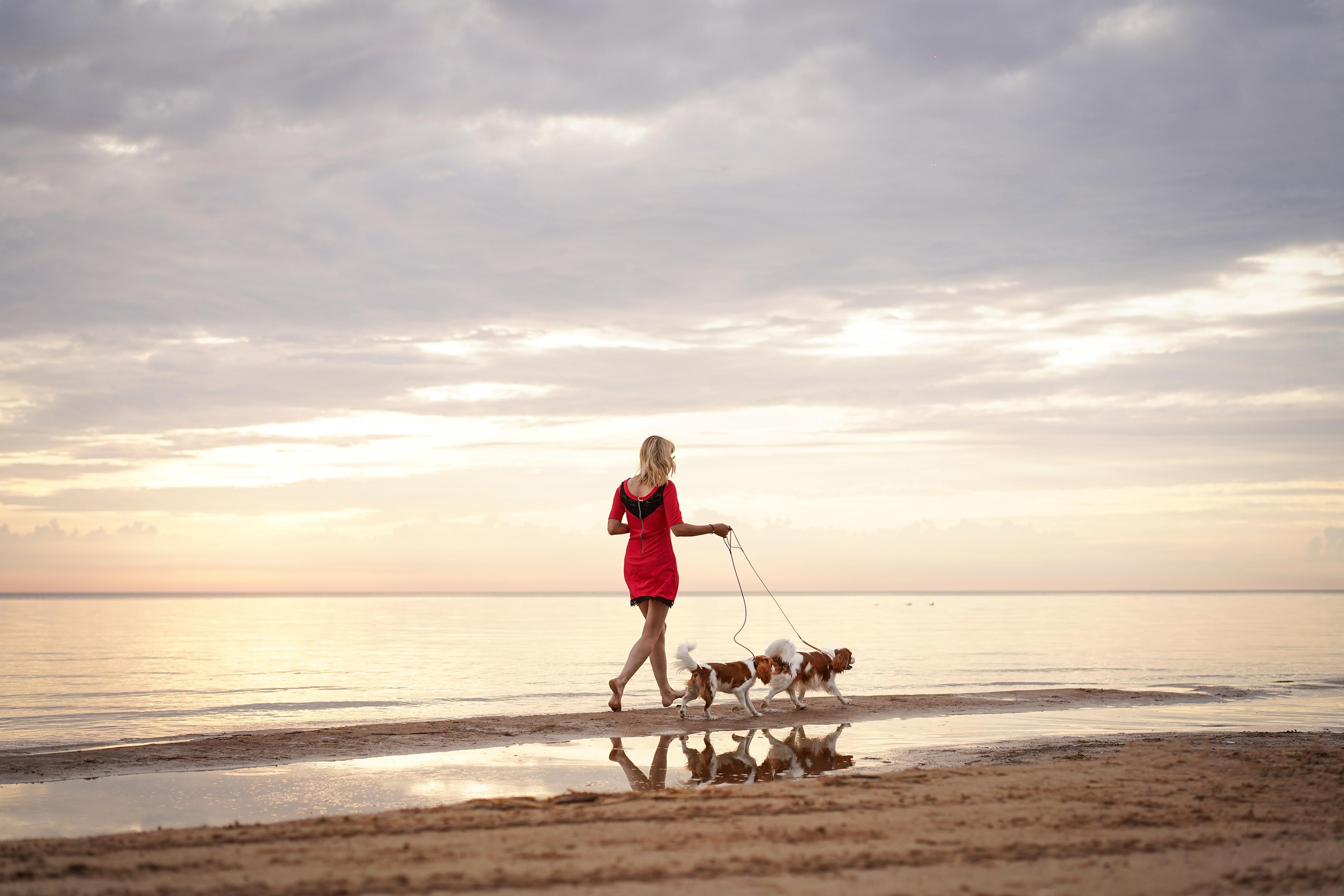 Катя, Злата и Луна. Фотограф-анималист в Санкт-Петербурге Яна Мартынова