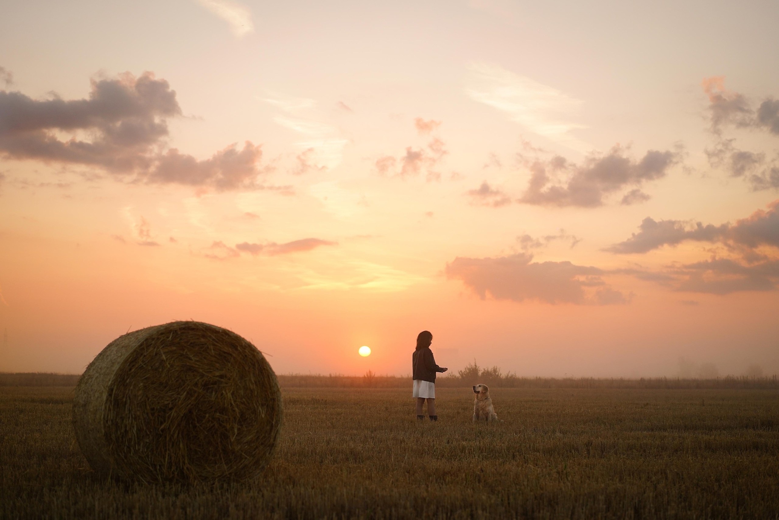 Настя и Арчи в полях. Фотограф-анималист в Санкт-Петербурге Яна Мартынова