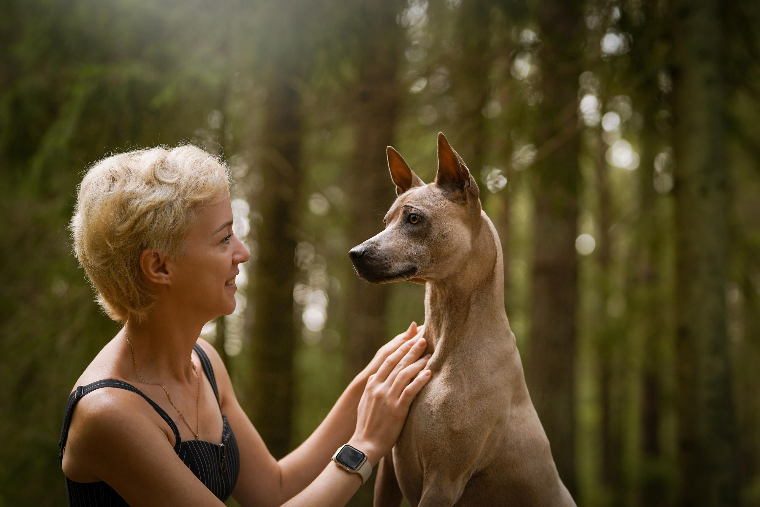 Юля Дима Грей и Тоффи. Фотограф-анималист в Санкт-Петербурге Яна Мартынова